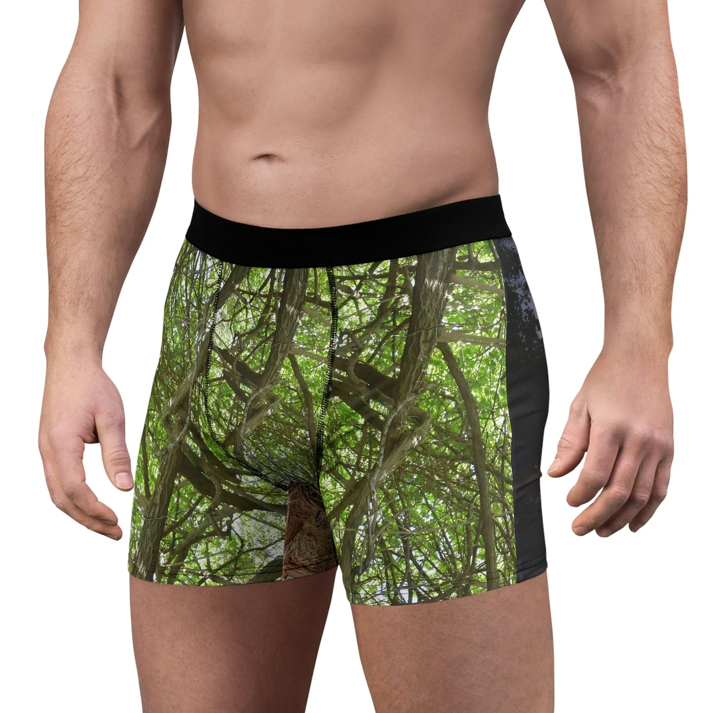 Men's Boxer Briefs - Mona Island tree branches and an awesome sunset in back - Green Forest Home