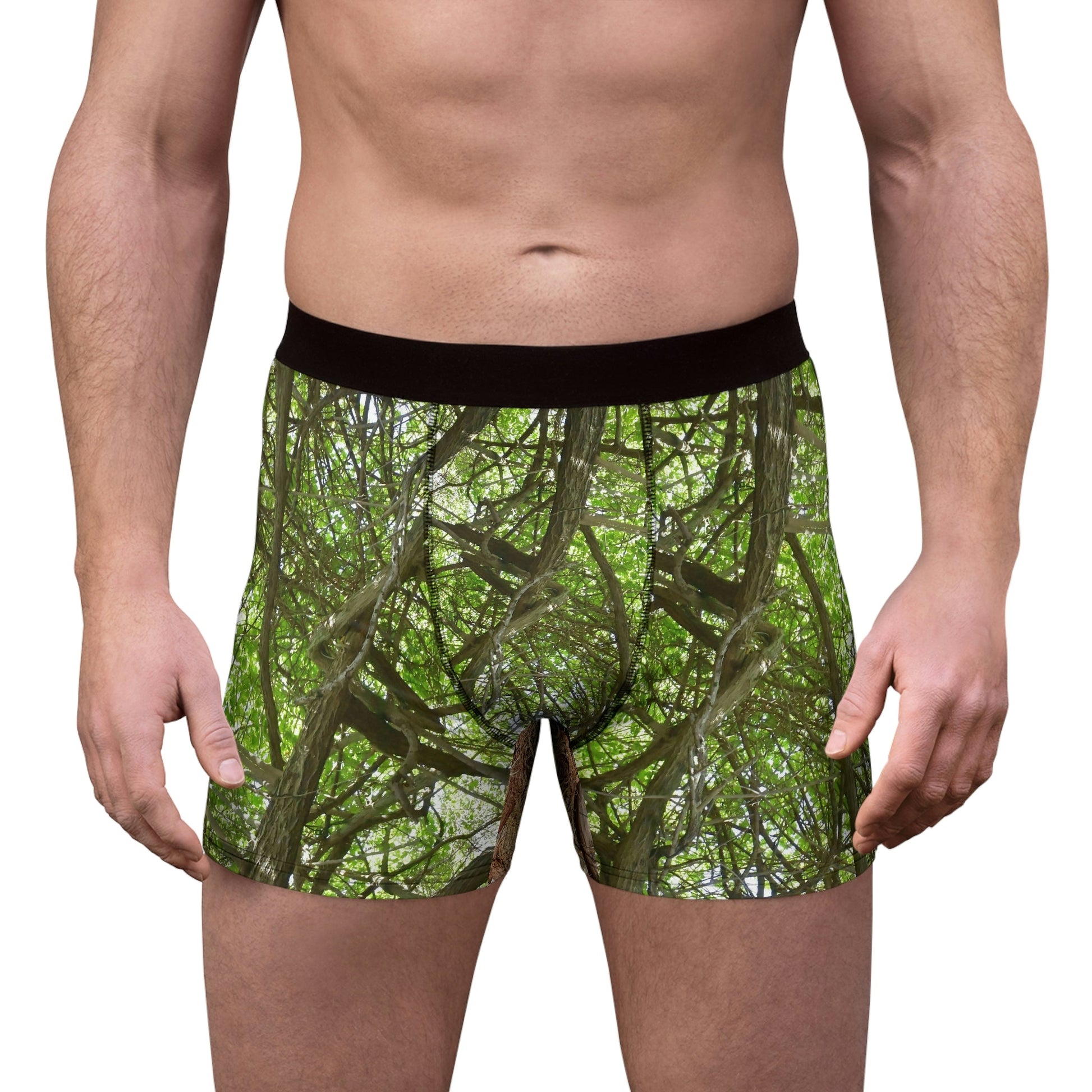 Men's Boxer Briefs - Mona Island tree branches and an awesome sunset in back - Green Forest Home