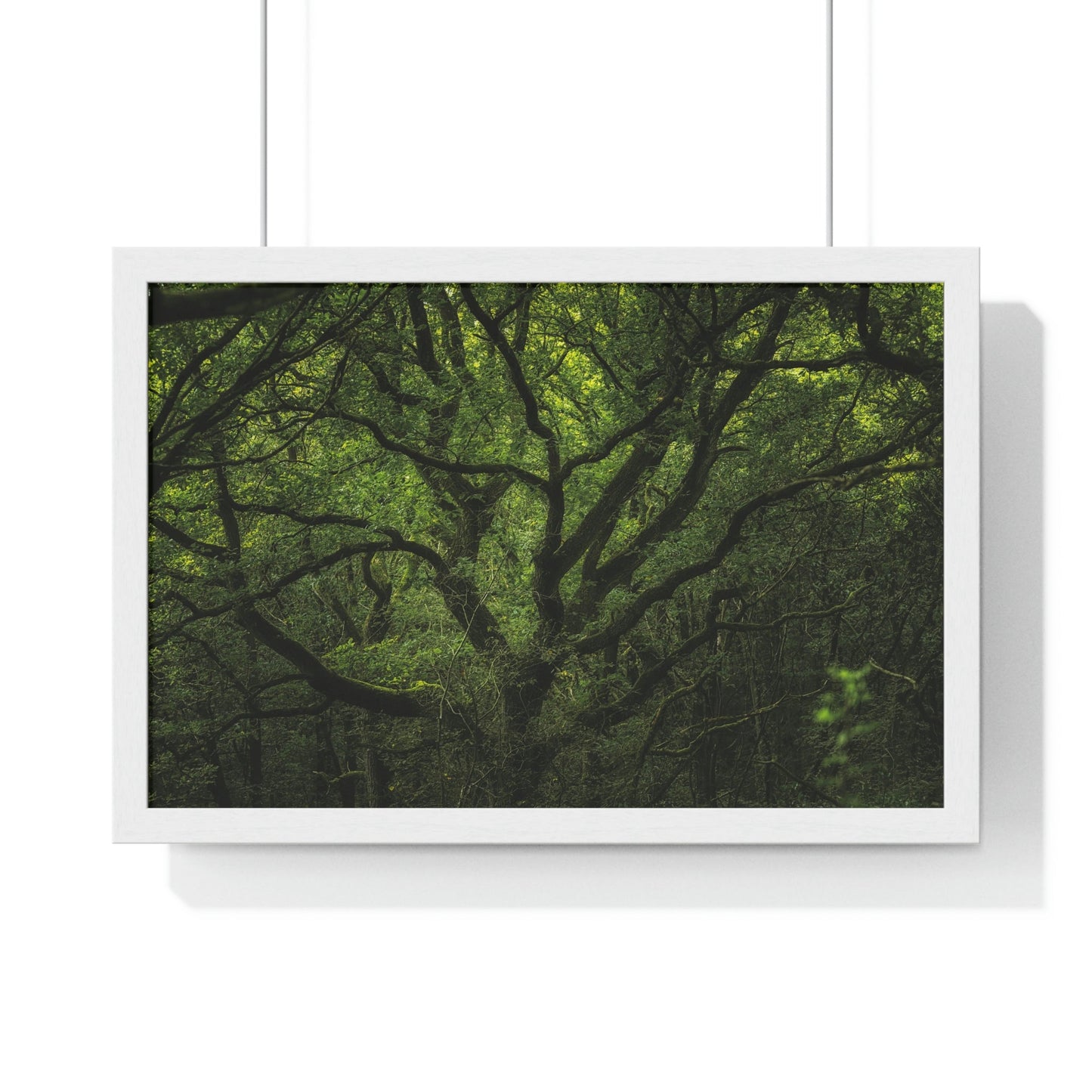 Premium Framed Horizontal Poster - Consall Valley. Vibrant green moody, ethereal UK forest woodland trees, and foliage - UK EUROPE - Green Forest Home