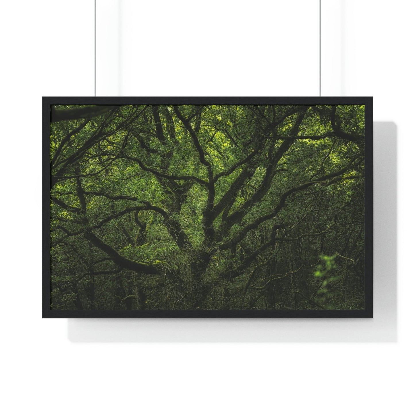 Premium Framed Horizontal Poster - Consall Valley. Vibrant green moody, ethereal UK forest woodland trees, and foliage - UK EUROPE - Green Forest Home