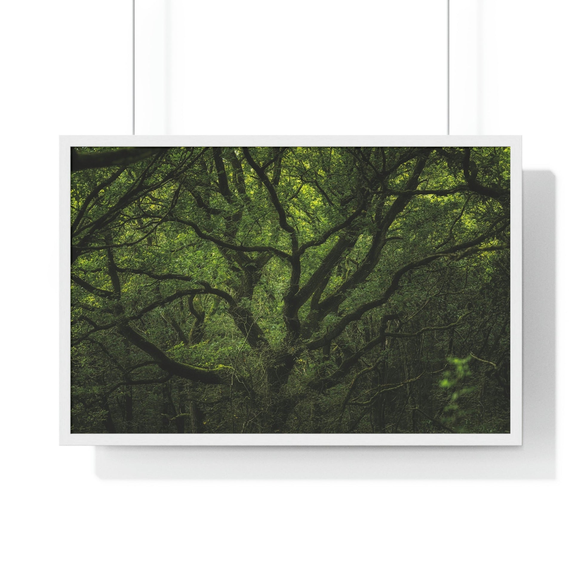 Premium Framed Horizontal Poster - Consall Valley. Vibrant green moody, ethereal UK forest woodland trees, and foliage - UK EUROPE - Green Forest Home