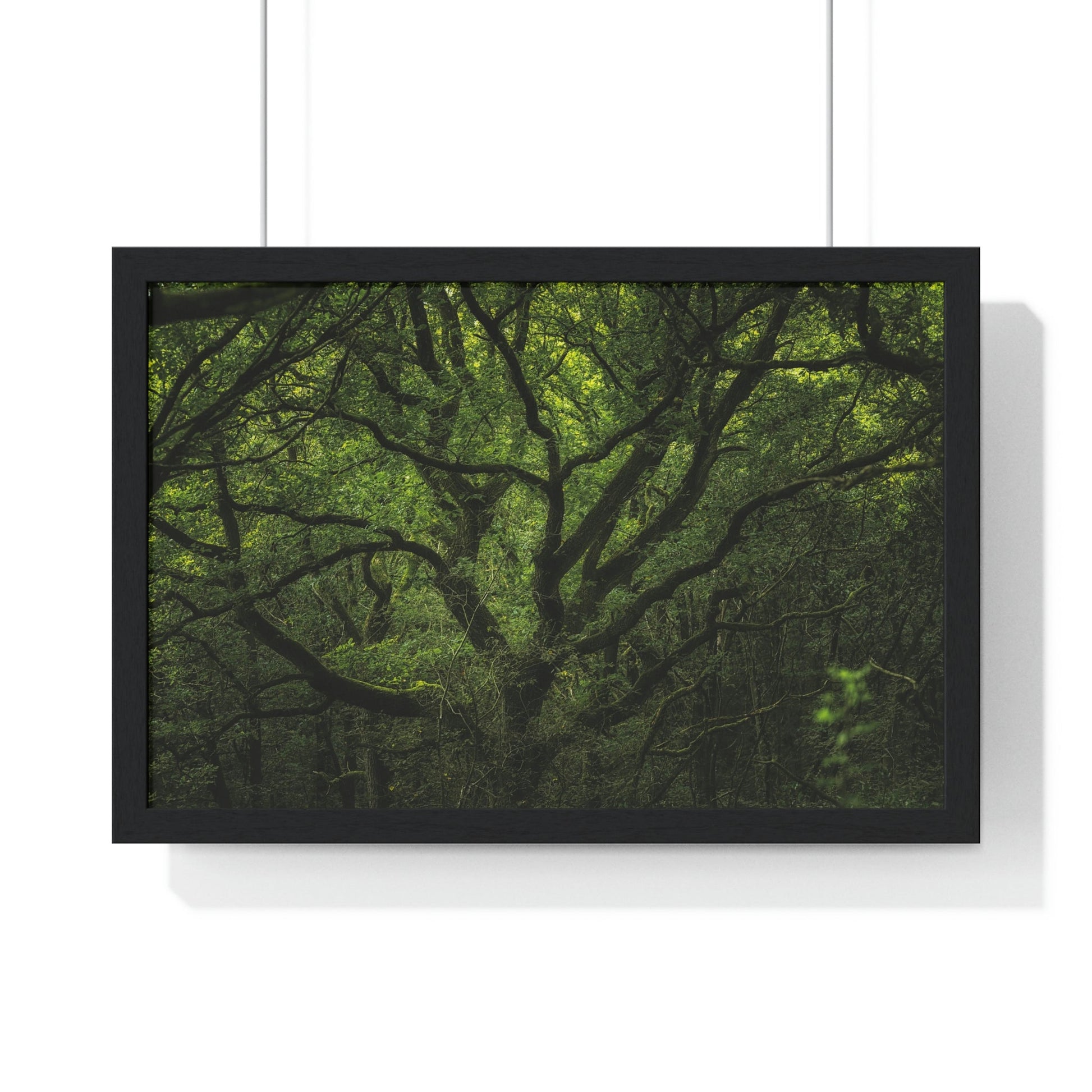 Premium Framed Horizontal Poster - Consall Valley. Vibrant green moody, ethereal UK forest woodland trees, and foliage - UK EUROPE - Green Forest Home