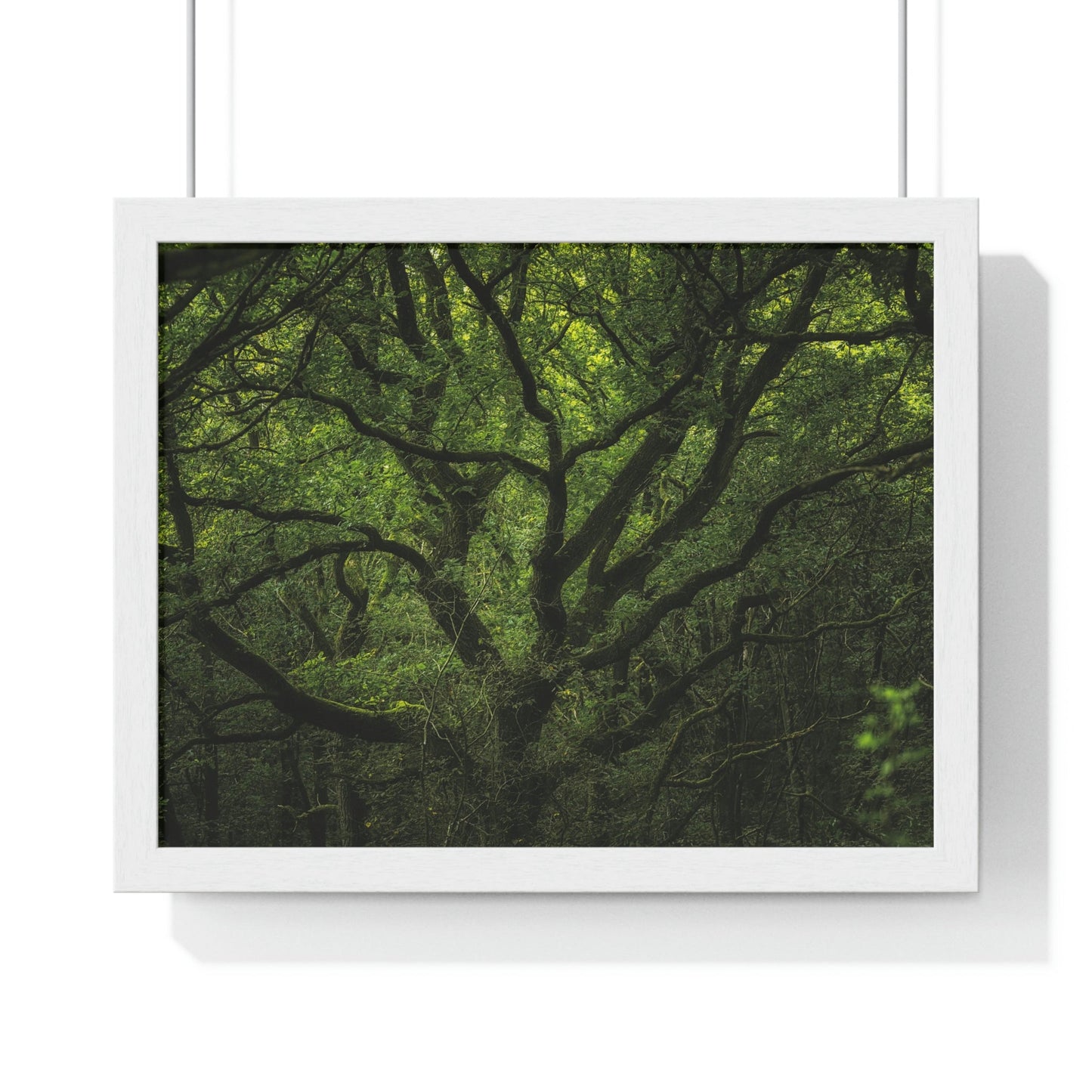 Premium Framed Horizontal Poster - Consall Valley. Vibrant green moody, ethereal UK forest woodland trees, and foliage - UK EUROPE - Green Forest Home