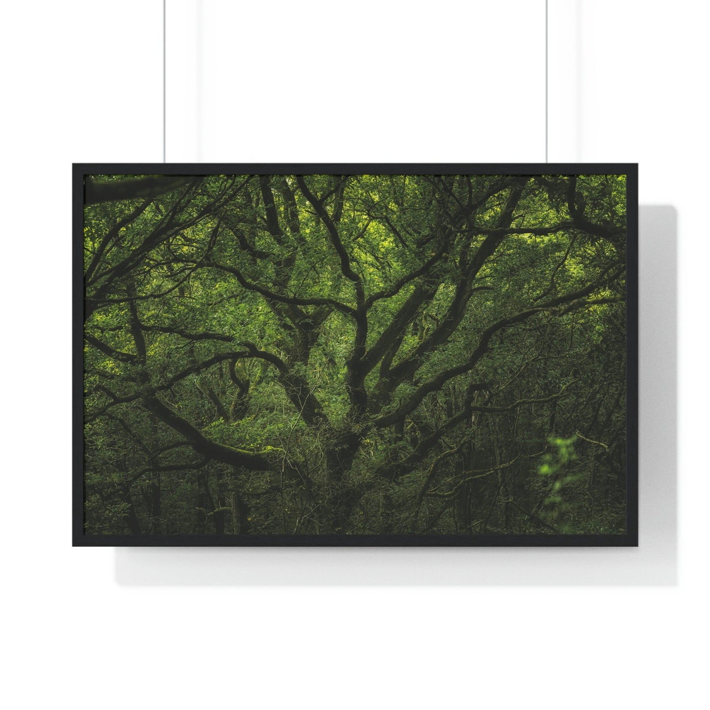 Premium Framed Horizontal Poster - Consall Valley. Vibrant green moody, ethereal UK forest woodland trees, and foliage - UK EUROPE - Green Forest Home