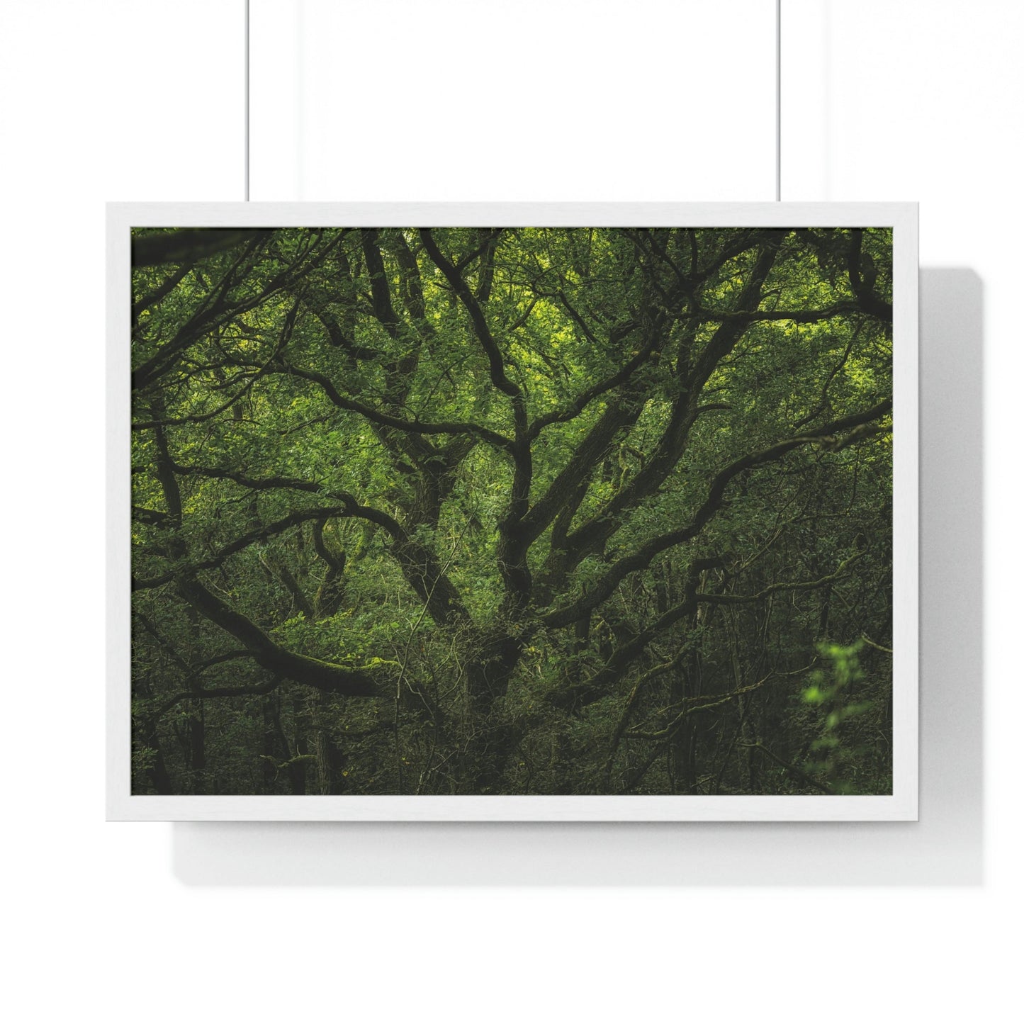 Premium Framed Horizontal Poster - Consall Valley. Vibrant green moody, ethereal UK forest woodland trees, and foliage - UK EUROPE - Green Forest Home