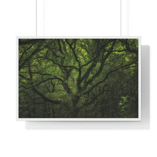 Premium Framed Horizontal Poster - Consall Valley. Vibrant green moody, ethereal UK forest woodland trees, and foliage - UK EUROPE - Green Forest Home