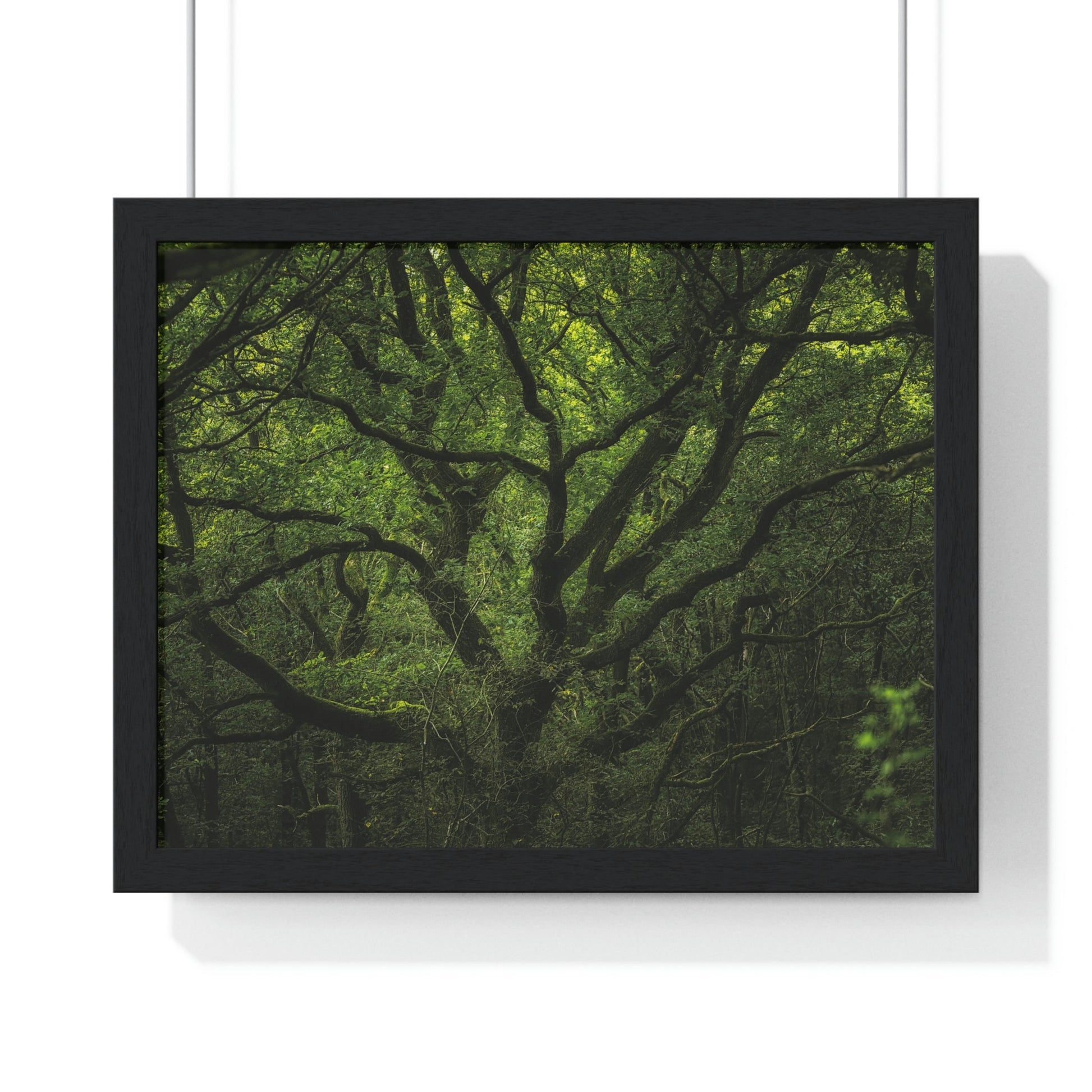 Premium Framed Horizontal Poster - Consall Valley. Vibrant green moody, ethereal UK forest woodland trees, and foliage - UK EUROPE - Green Forest Home