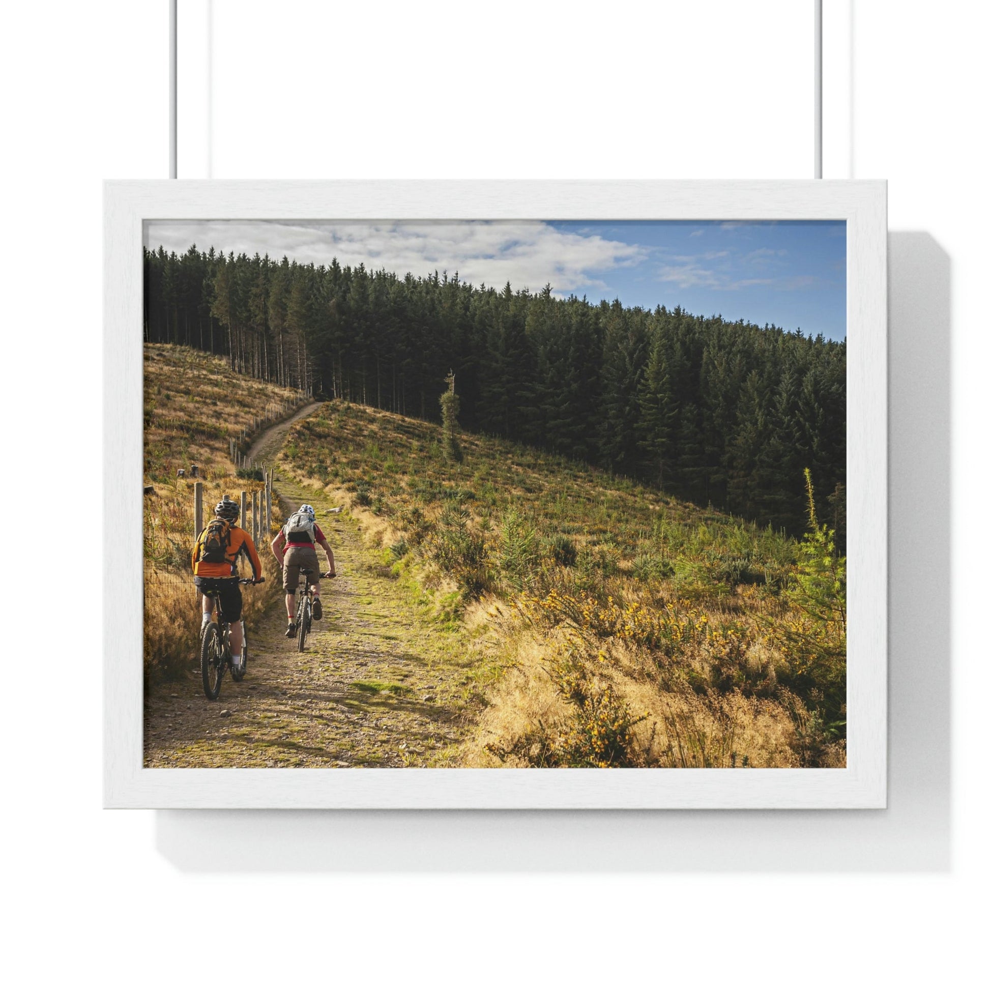 Premium Framed Horizontal Poster - Printed in LATVIA - Mountain Bikers riding towards a forest in Ireland - UK - EUROPE - Green Forest Home