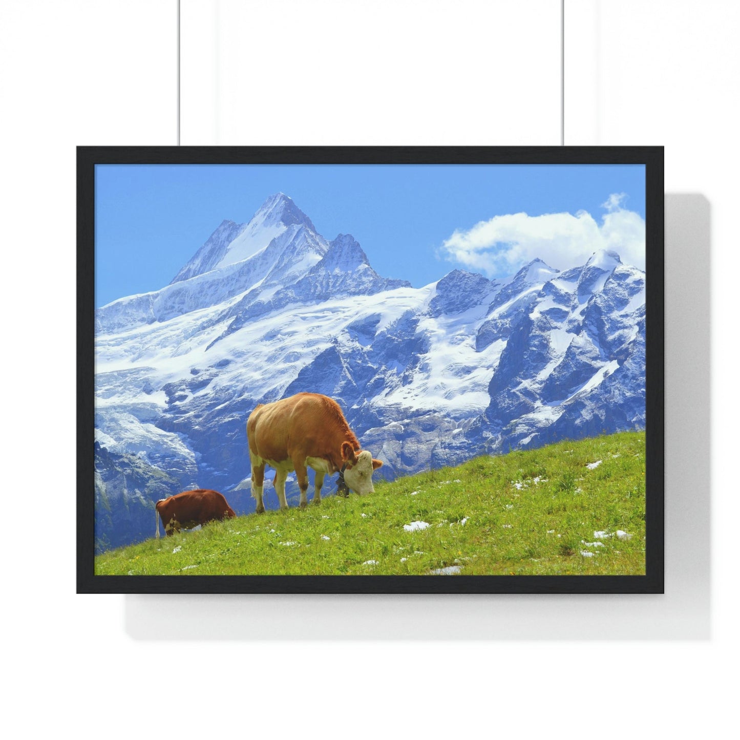 Premium Framed Horizontal Poster - Printed in LATVIA - Swiss Cow on Green Grass in the Alps, Grindelwald, Switzerland, EUROPE - Green Forest Home