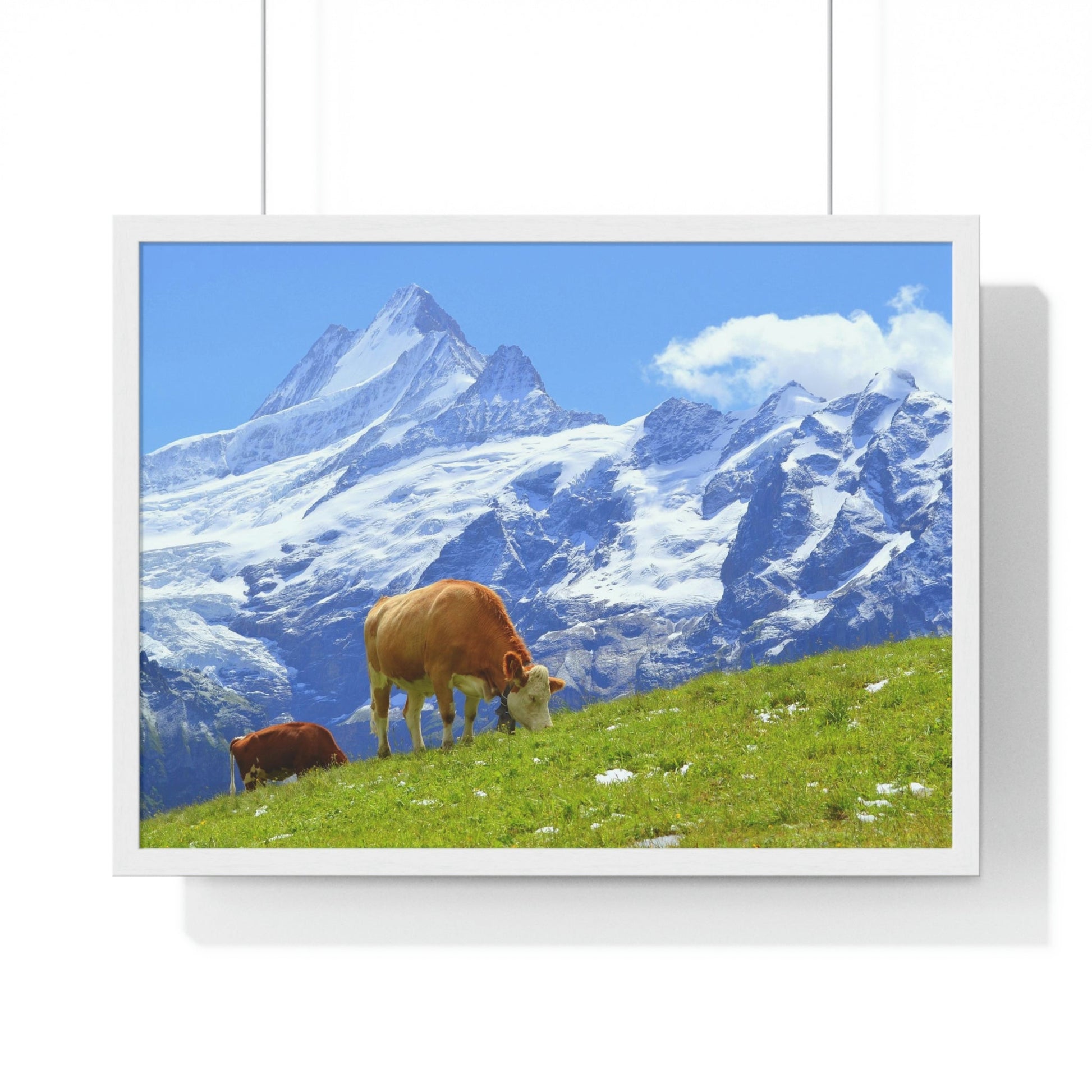 Premium Framed Horizontal Poster - Printed in LATVIA - Swiss Cow on Green Grass in the Alps, Grindelwald, Switzerland, EUROPE - Green Forest Home