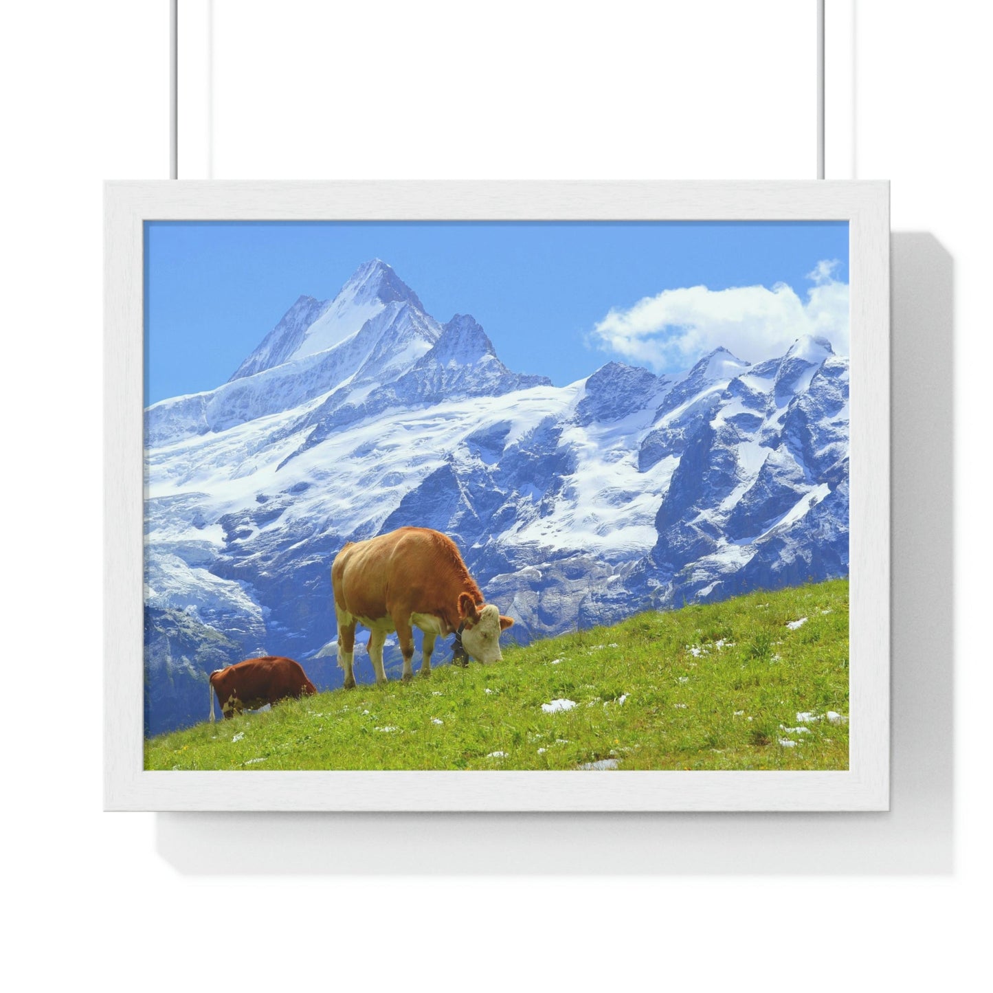 Premium Framed Horizontal Poster - Printed in LATVIA - Swiss Cow on Green Grass in the Alps, Grindelwald, Switzerland, EUROPE - Green Forest Home