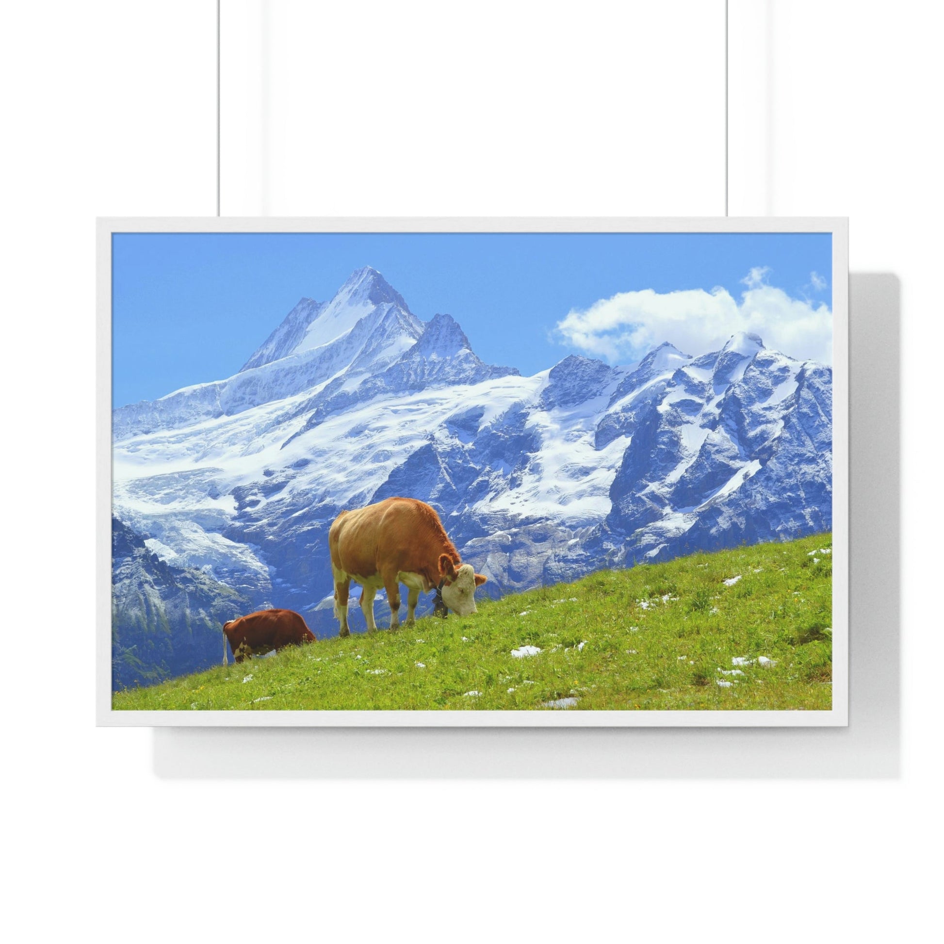 Premium Framed Horizontal Poster - Printed in LATVIA - Swiss Cow on Green Grass in the Alps, Grindelwald, Switzerland, EUROPE - Green Forest Home