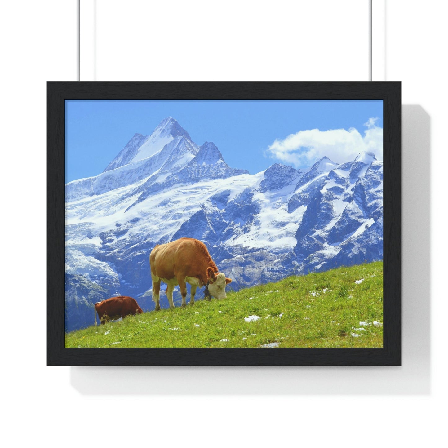 Premium Framed Horizontal Poster - Printed in LATVIA - Swiss Cow on Green Grass in the Alps, Grindelwald, Switzerland, EUROPE - Green Forest Home