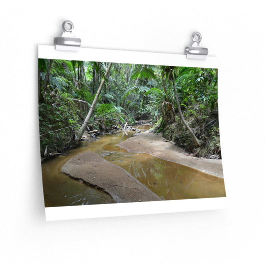 Premium Matte horizontal posters - Holy Spirit river exploration 2014/Espiritu Santo El Yunque PR - Green Forest Home