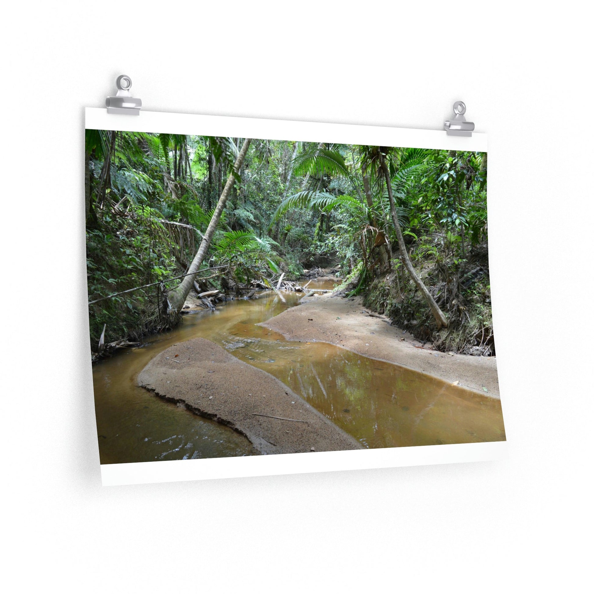 Premium Matte horizontal posters - Holy Spirit river exploration 2014/Espiritu Santo El Yunque PR - Green Forest Home