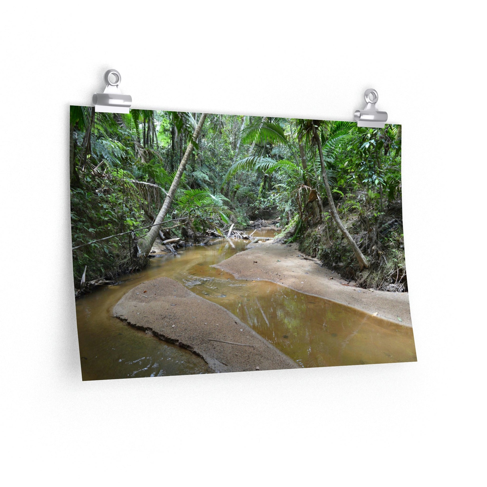 Premium Matte horizontal posters - Holy Spirit river exploration 2014/Espiritu Santo El Yunque PR - Green Forest Home