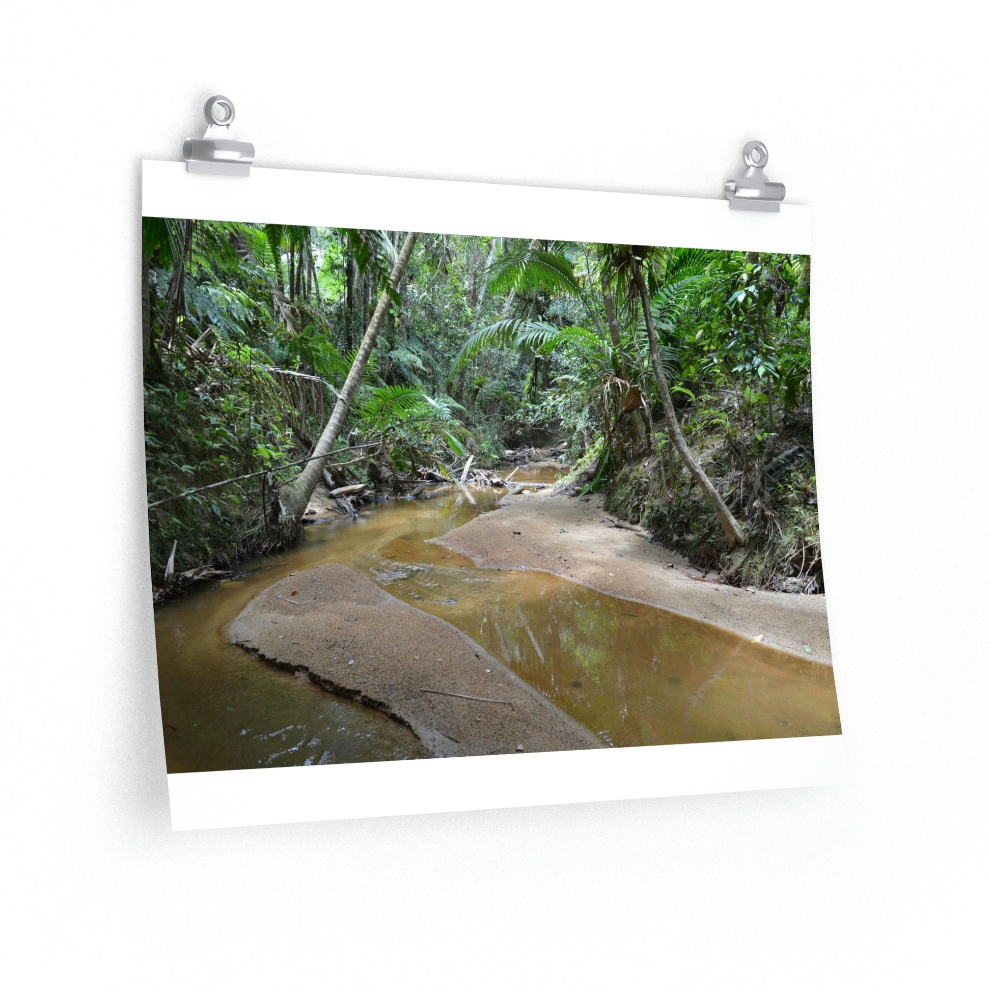 Premium Matte horizontal posters - Holy Spirit river exploration 2014/Espiritu Santo El Yunque PR - Green Forest Home