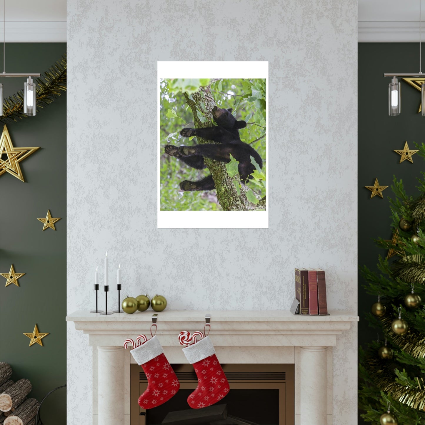 Premium Matte vertical posters - Happy bear in branch in Smoky Mountain National Park in Summer in Mountain National Park (SMNP) USA - Green Forest Home