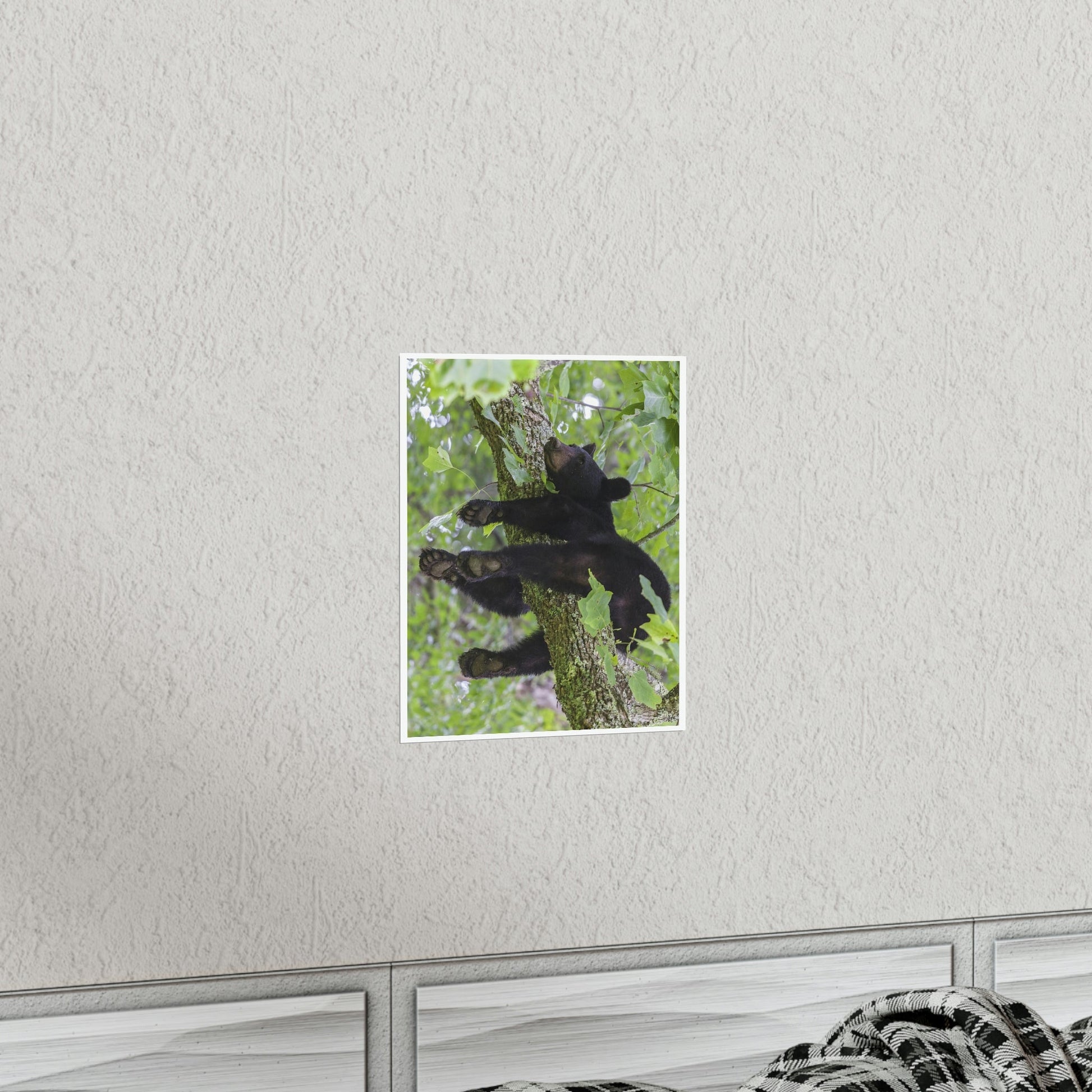 Premium Matte vertical posters - Happy bear in branch in Smoky Mountain National Park in Summer in Mountain National Park (SMNP) USA - Green Forest Home