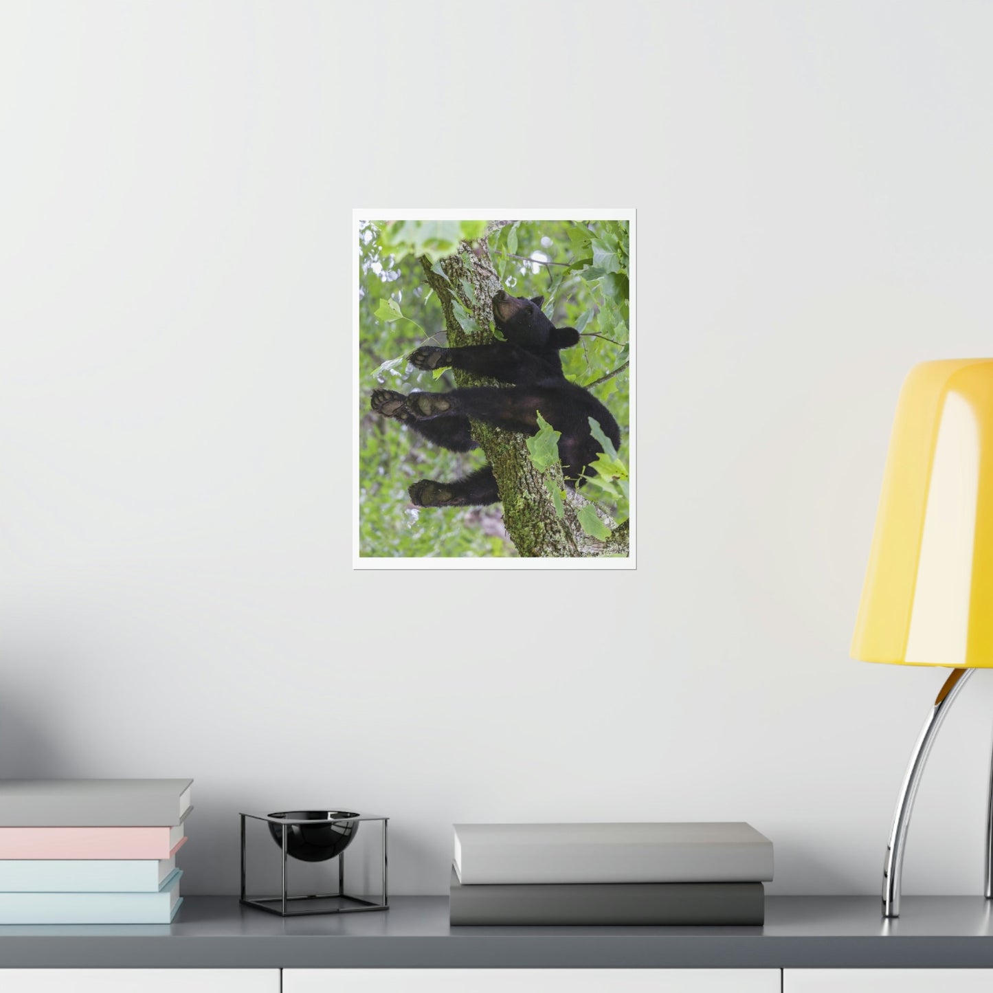 Premium Matte vertical posters - Happy bear in branch in Smoky Mountain National Park in Summer in Mountain National Park (SMNP) USA - Green Forest Home