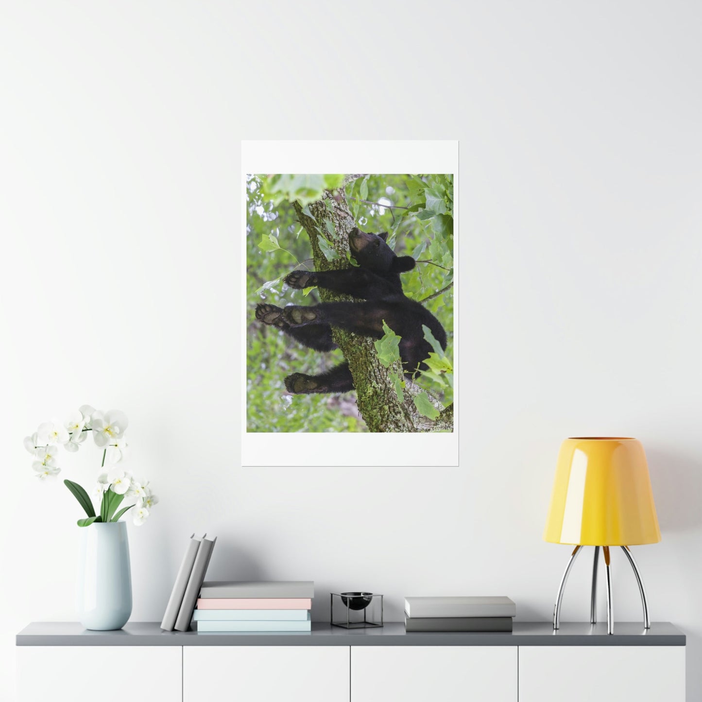 Premium Matte vertical posters - Happy bear in branch in Smoky Mountain National Park in Summer in Mountain National Park (SMNP) USA - Green Forest Home