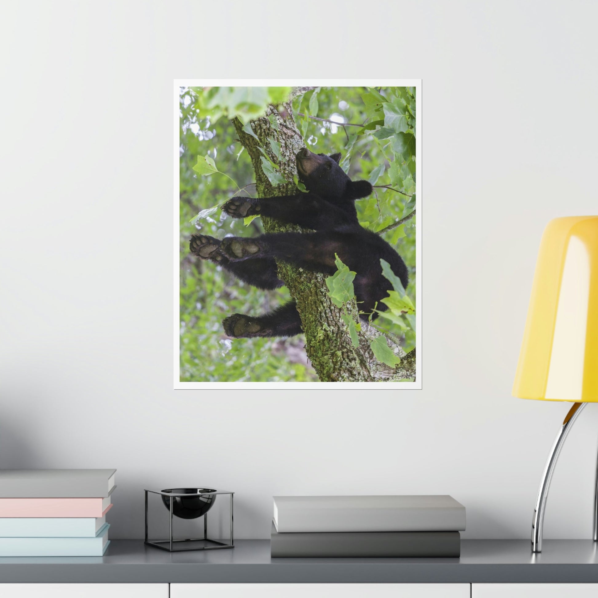 Premium Matte vertical posters - Happy bear in branch in Smoky Mountain National Park in Summer in Mountain National Park (SMNP) USA - Green Forest Home