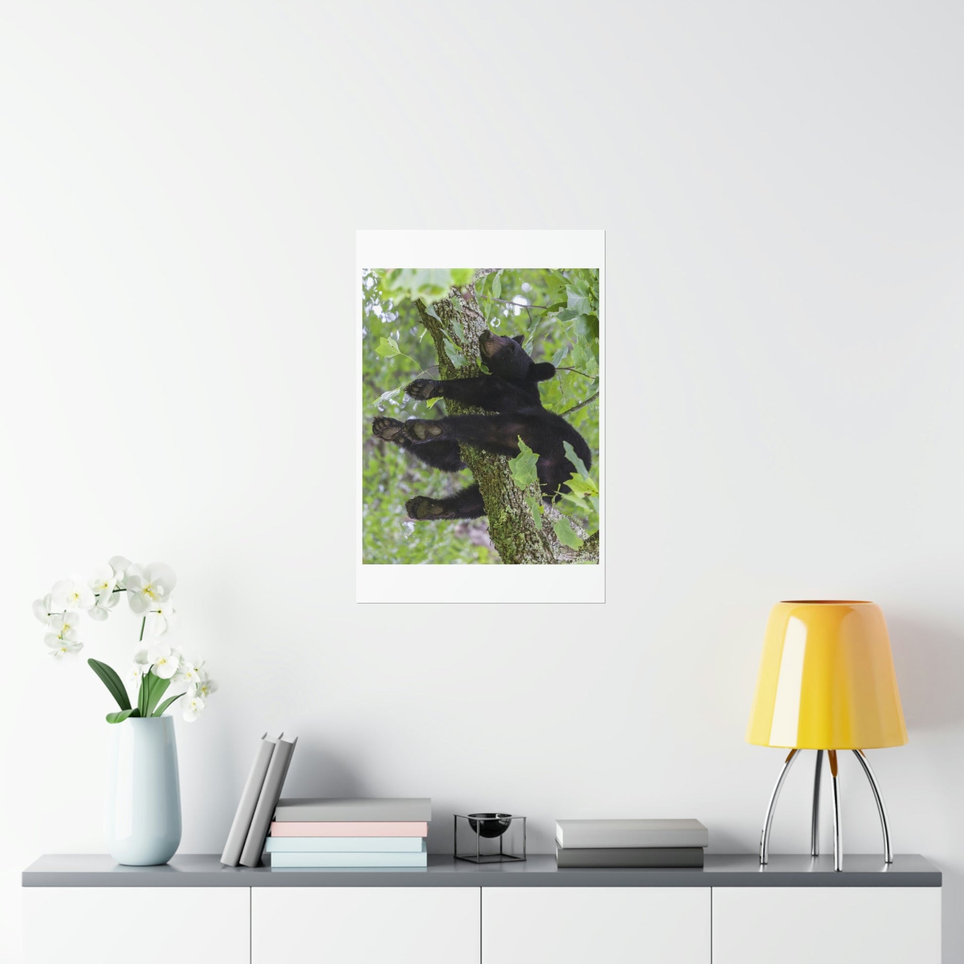 Premium Matte vertical posters - Happy bear in branch in Smoky Mountain National Park in Summer in Mountain National Park (SMNP) USA - Green Forest Home