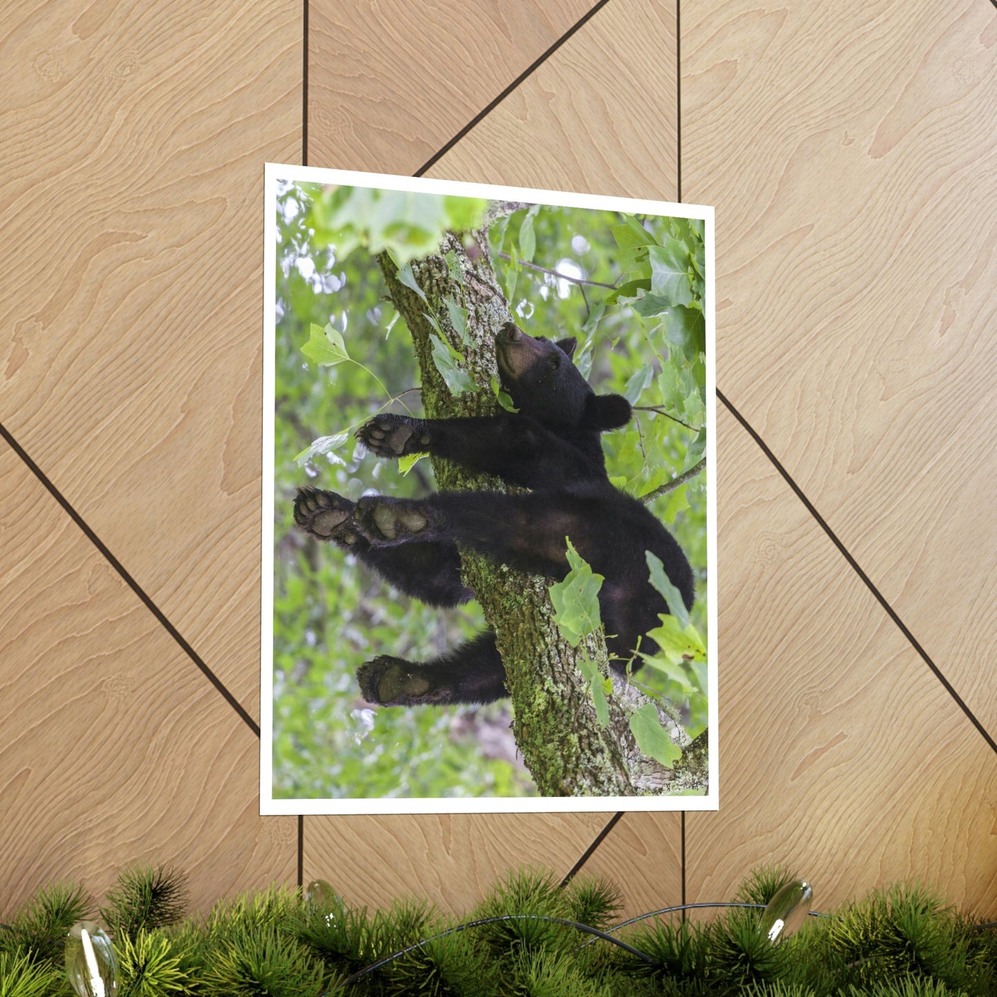 Premium Matte vertical posters - Happy bear in branch in Smoky Mountain National Park in Summer in Mountain National Park (SMNP) USA - Green Forest Home