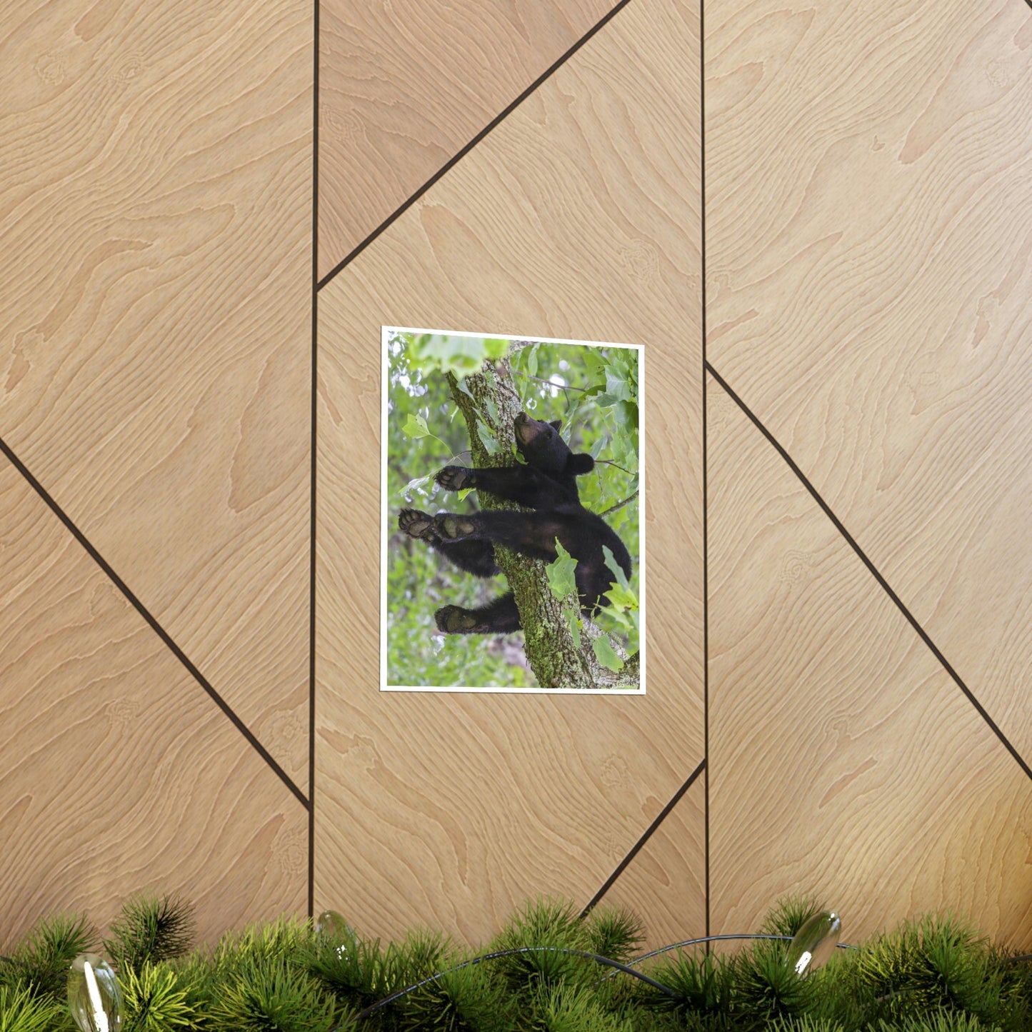 Premium Matte vertical posters - Happy bear in branch in Smoky Mountain National Park in Summer in Mountain National Park (SMNP) USA - Green Forest Home