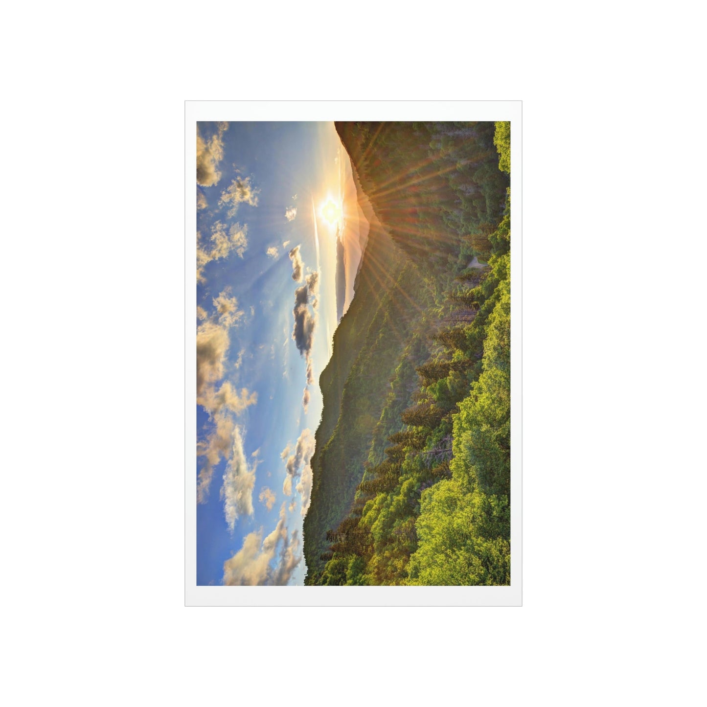 Premium Matte vertical posters - Newfound Gap Heavely day - in Smoky Mountain National Park in Summer in Mountain National Park (SMNP) USA - Green Forest Home