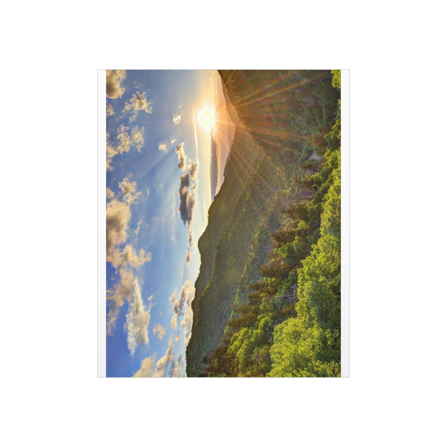 Premium Matte vertical posters - Newfound Gap Heavely day - in Smoky Mountain National Park in Summer in Mountain National Park (SMNP) USA - Green Forest Home