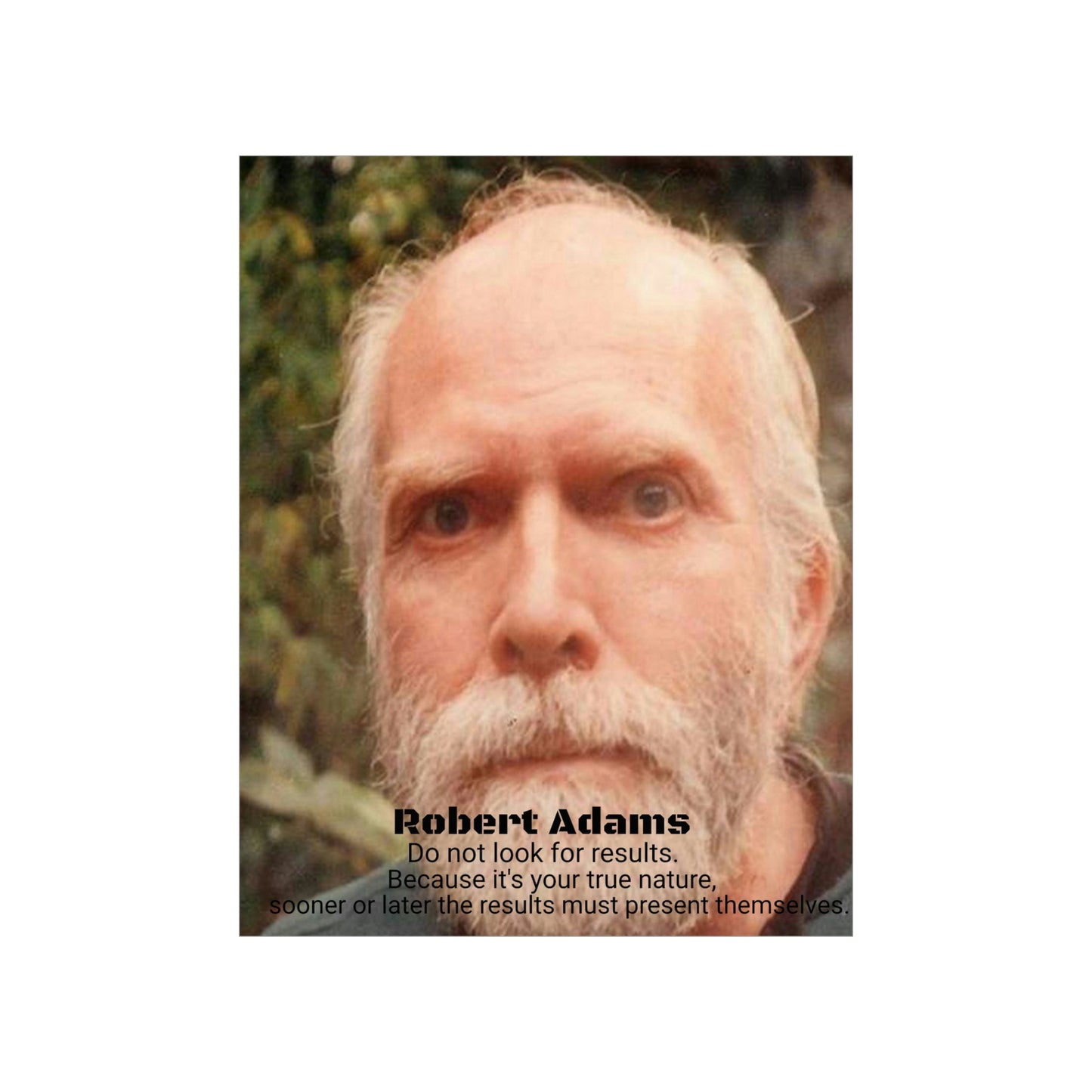 Premium Matte vertical posters - Robert Adams - American Advaita Teacher - Green Forest Home