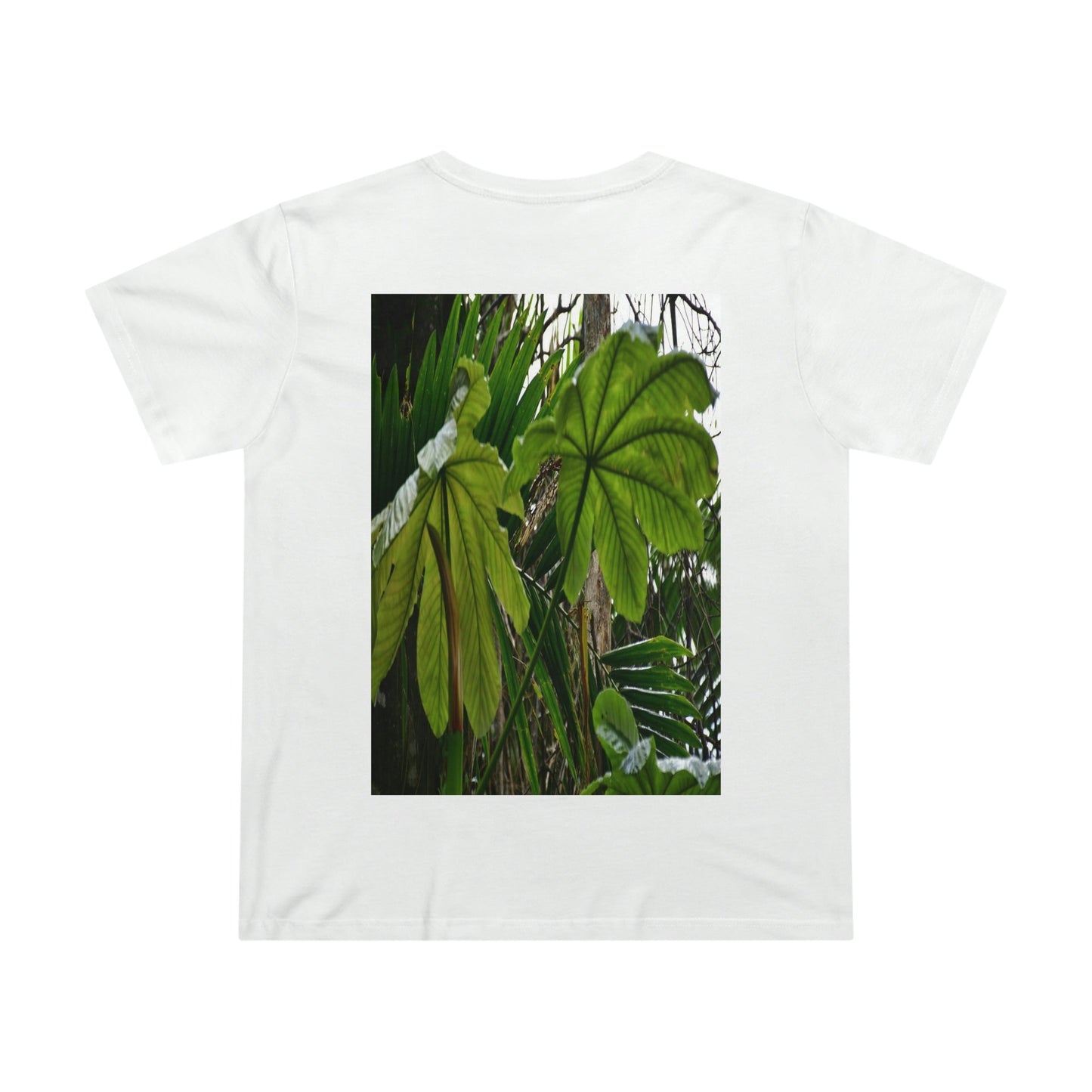 Printed in AUSTRALIA - Women’s Maple Tee - Yagrumo Tree leaf - El Yunque rainforest - HumanVision 👩‍🦰 - Green Forest Home