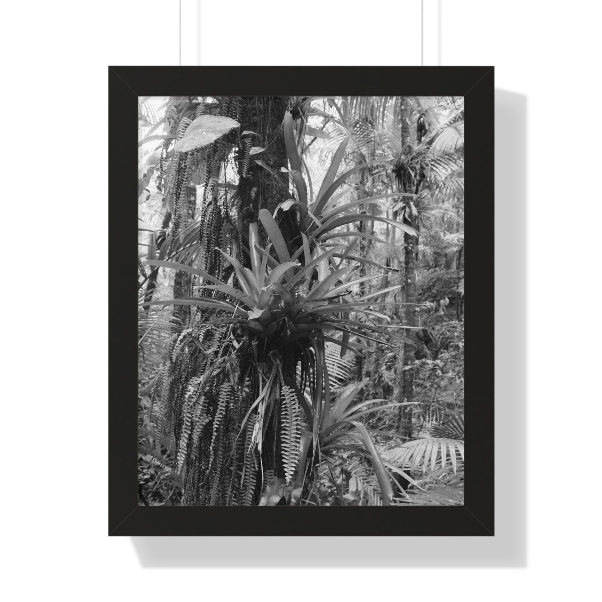 Rainforest Trails & Views - Gallery Canvas Wraps, Framed Vertical Poster - El Yunque National Forest - Puerto Rico - Bromeliads on Sierra Palm tree - Green Forest Home