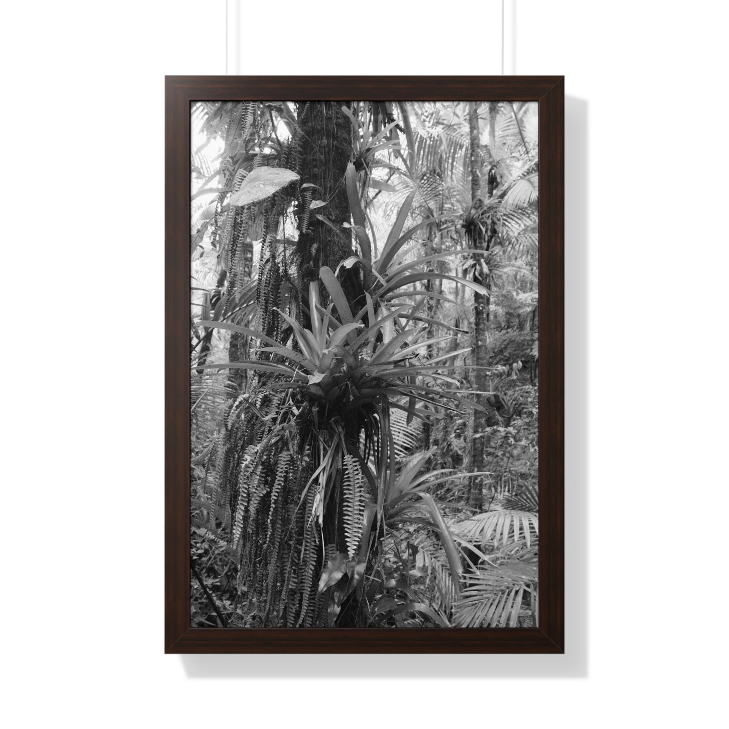 Rainforest Trails & Views - Gallery Canvas Wraps, Framed Vertical Poster - El Yunque National Forest - Puerto Rico - Bromeliads on Sierra Palm tree - Green Forest Home