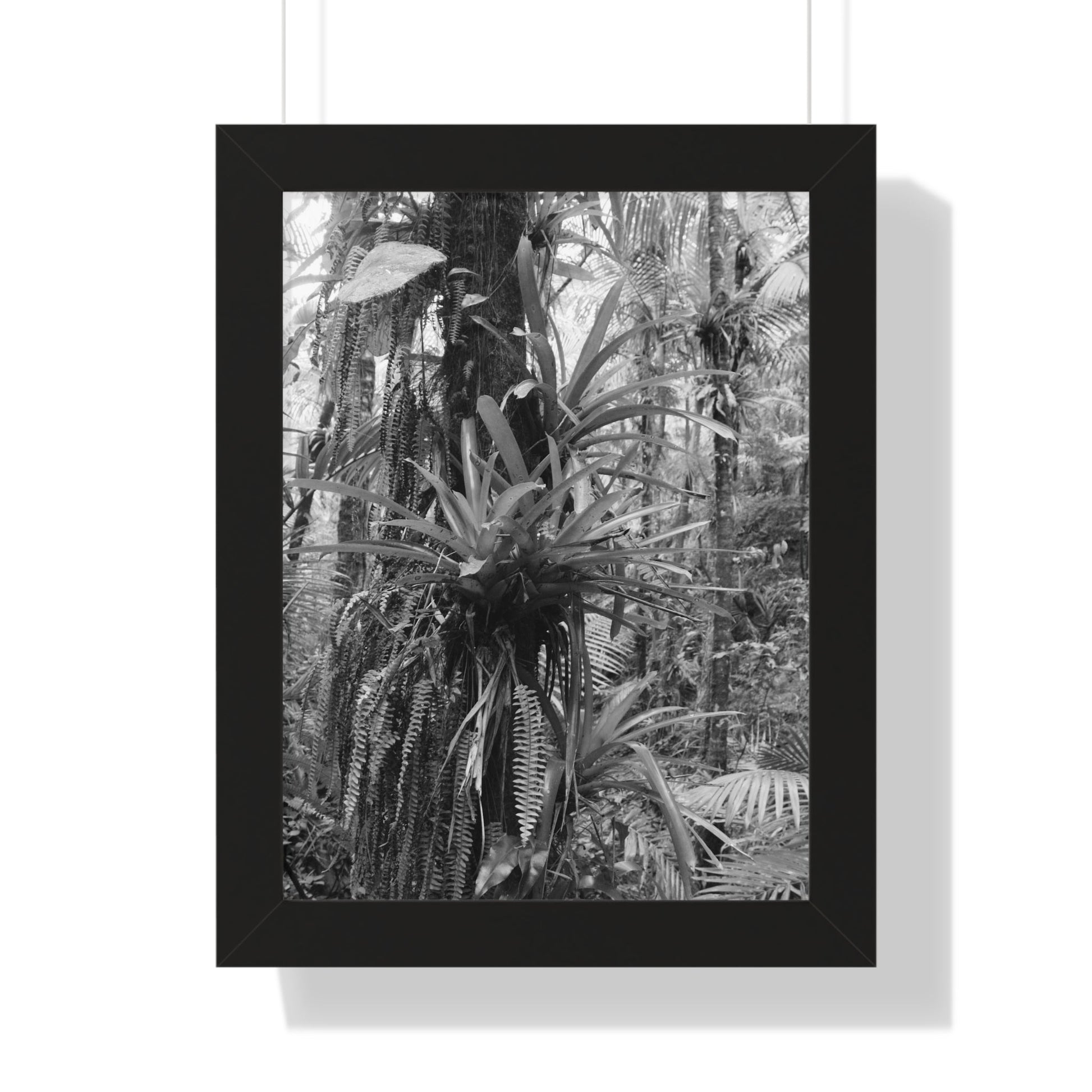 Rainforest Trails & Views - Gallery Canvas Wraps, Framed Vertical Poster - El Yunque National Forest - Puerto Rico - Bromeliads on Sierra Palm tree - Green Forest Home