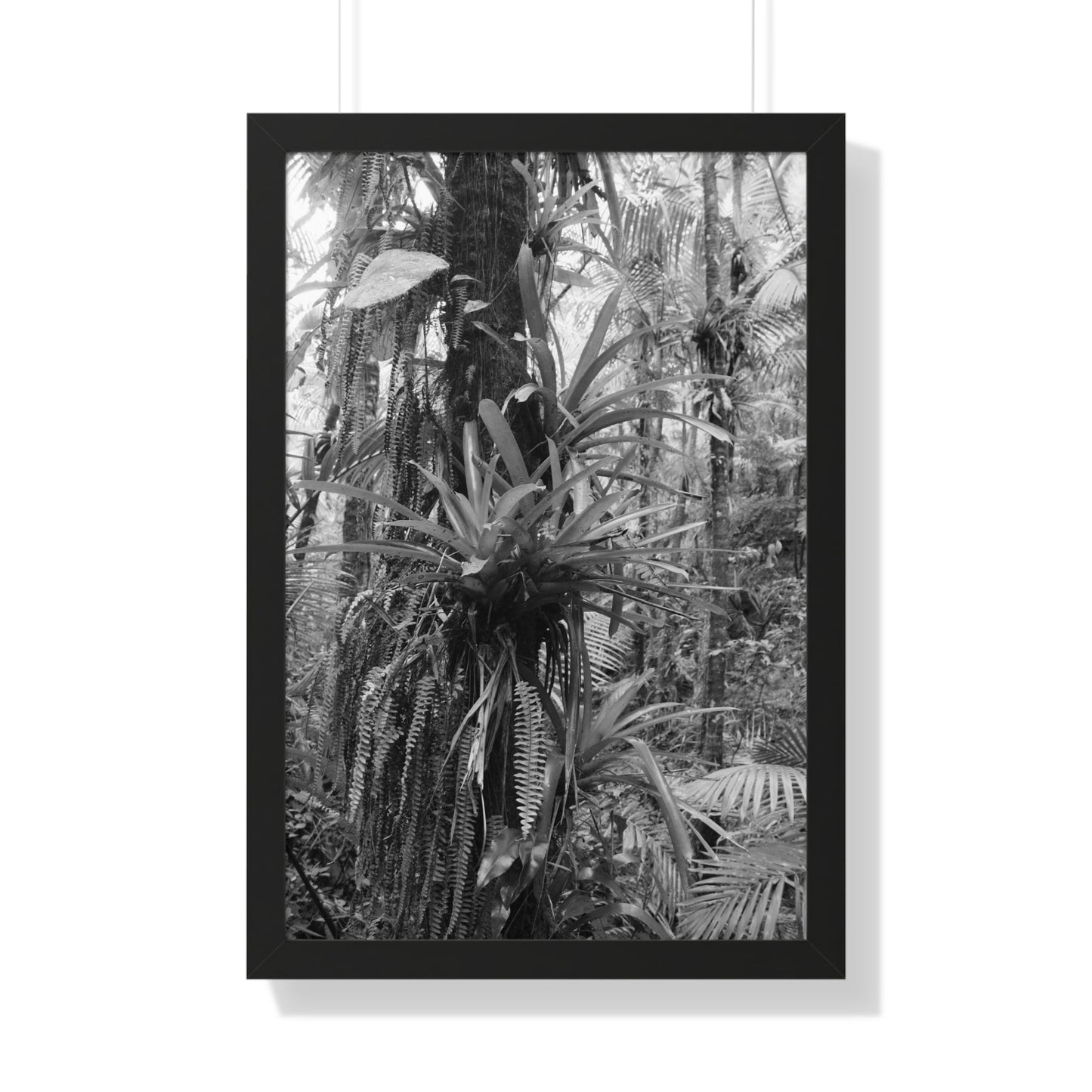 Rainforest Trails & Views - Gallery Canvas Wraps, Framed Vertical Poster - El Yunque National Forest - Puerto Rico - Bromeliads on Sierra Palm tree - Green Forest Home