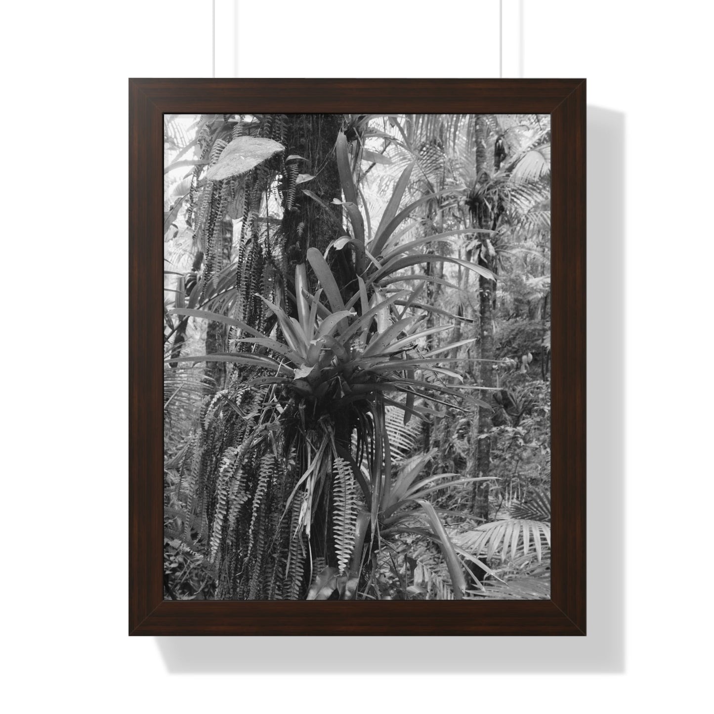 Rainforest Trails & Views - Gallery Canvas Wraps, Framed Vertical Poster - El Yunque National Forest - Puerto Rico - Bromeliads on Sierra Palm tree - Green Forest Home