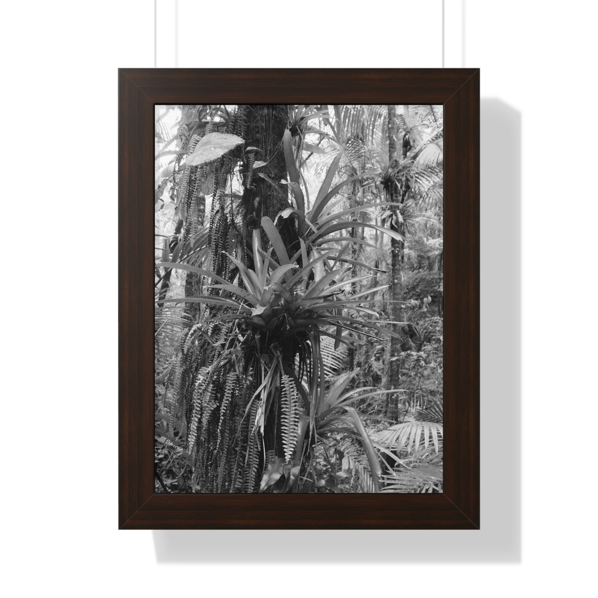 Rainforest Trails & Views - Gallery Canvas Wraps, Framed Vertical Poster - El Yunque National Forest - Puerto Rico - Bromeliads on Sierra Palm tree - Green Forest Home