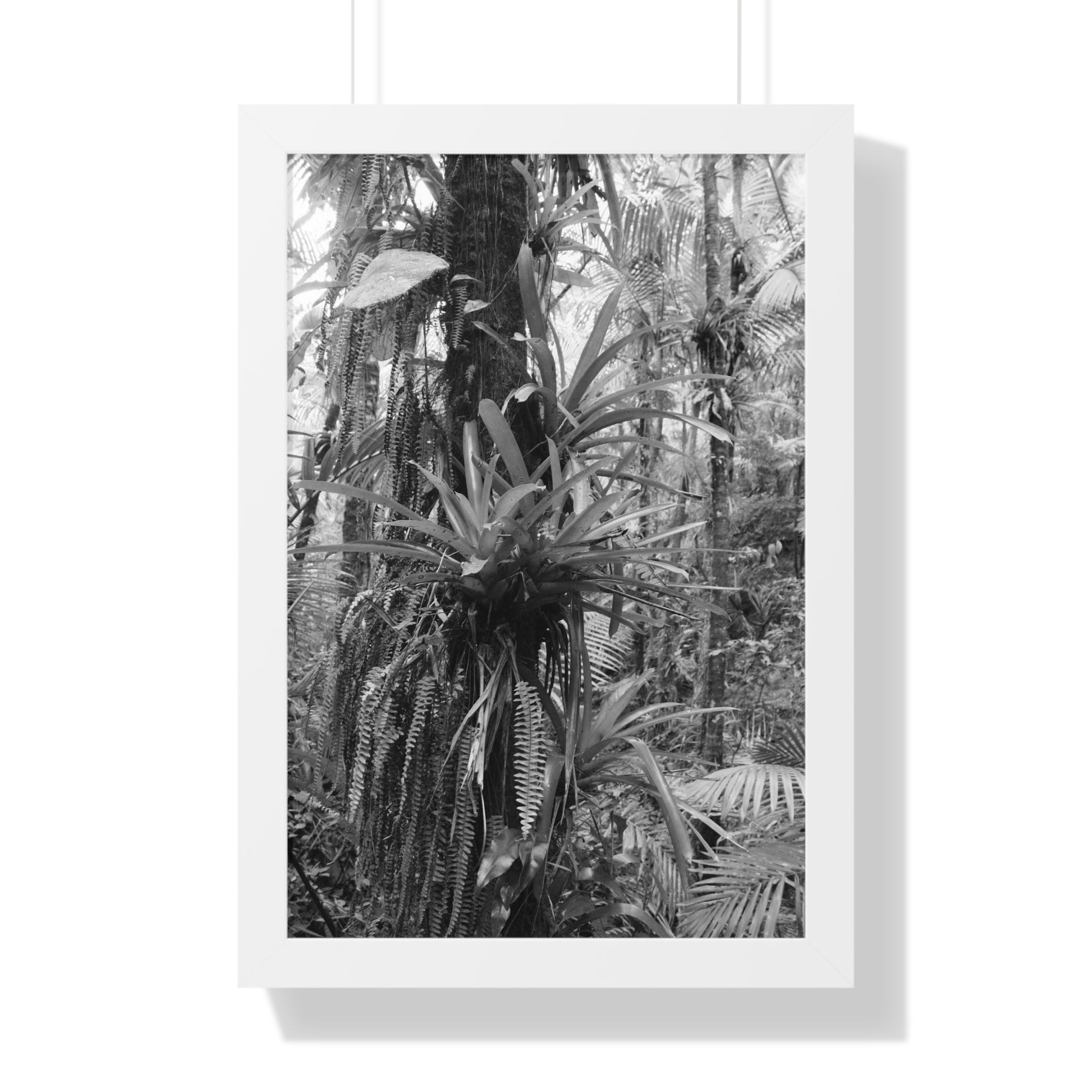 Rainforest Trails & Views - Gallery Canvas Wraps, Framed Vertical Poster - El Yunque National Forest - Puerto Rico - Bromeliads on Sierra Palm tree - Green Forest Home