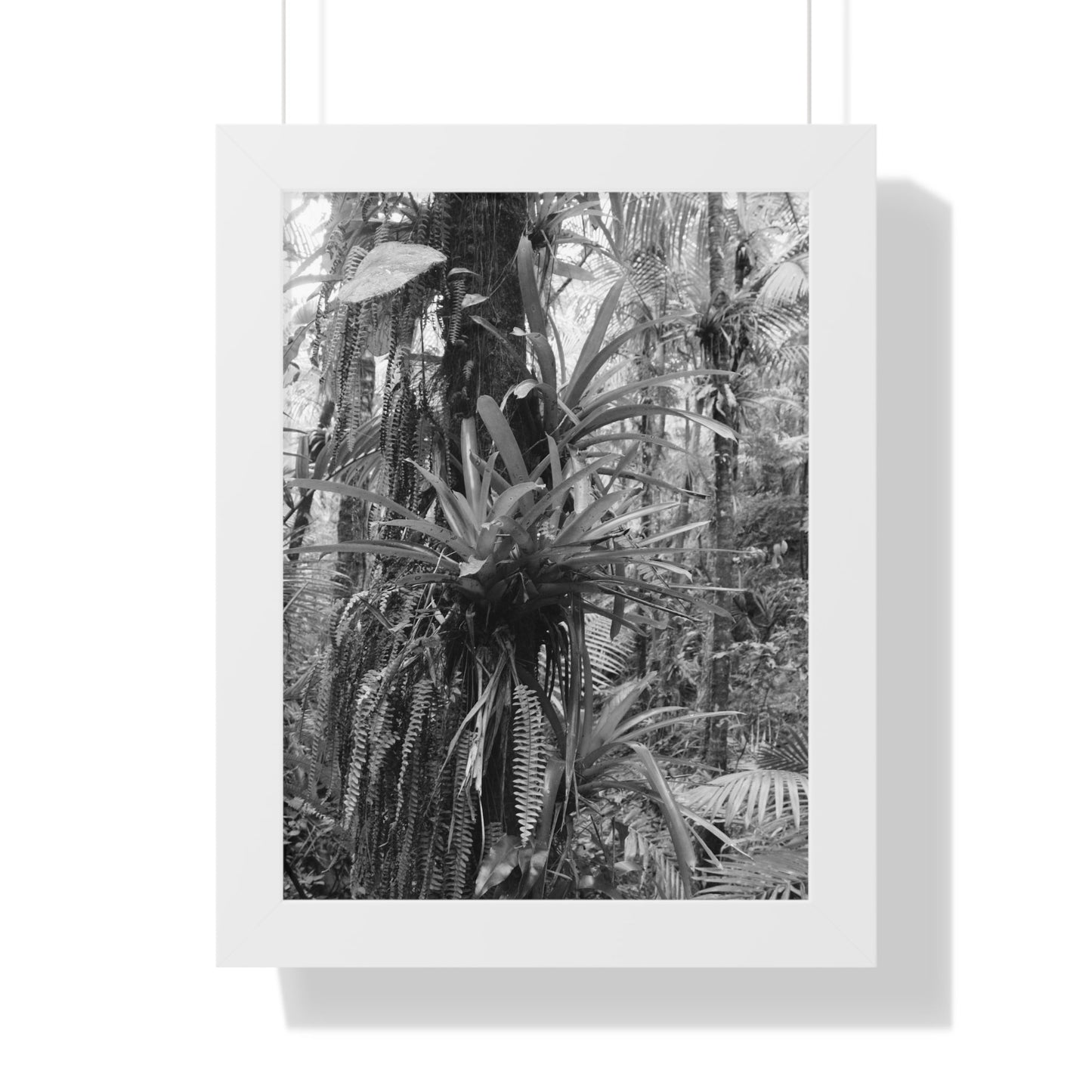 Rainforest Trails & Views - Gallery Canvas Wraps, Framed Vertical Poster - El Yunque National Forest - Puerto Rico - Bromeliads on Sierra Palm tree - Green Forest Home