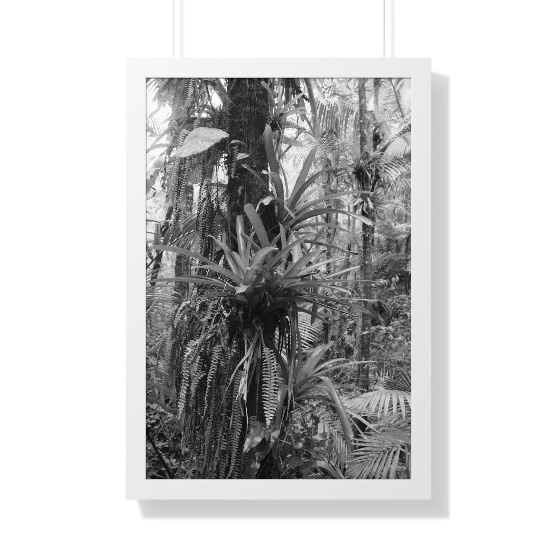 Rainforest Trails & Views - Gallery Canvas Wraps, Framed Vertical Poster - El Yunque National Forest - Puerto Rico - Bromeliads on Sierra Palm tree - Green Forest Home