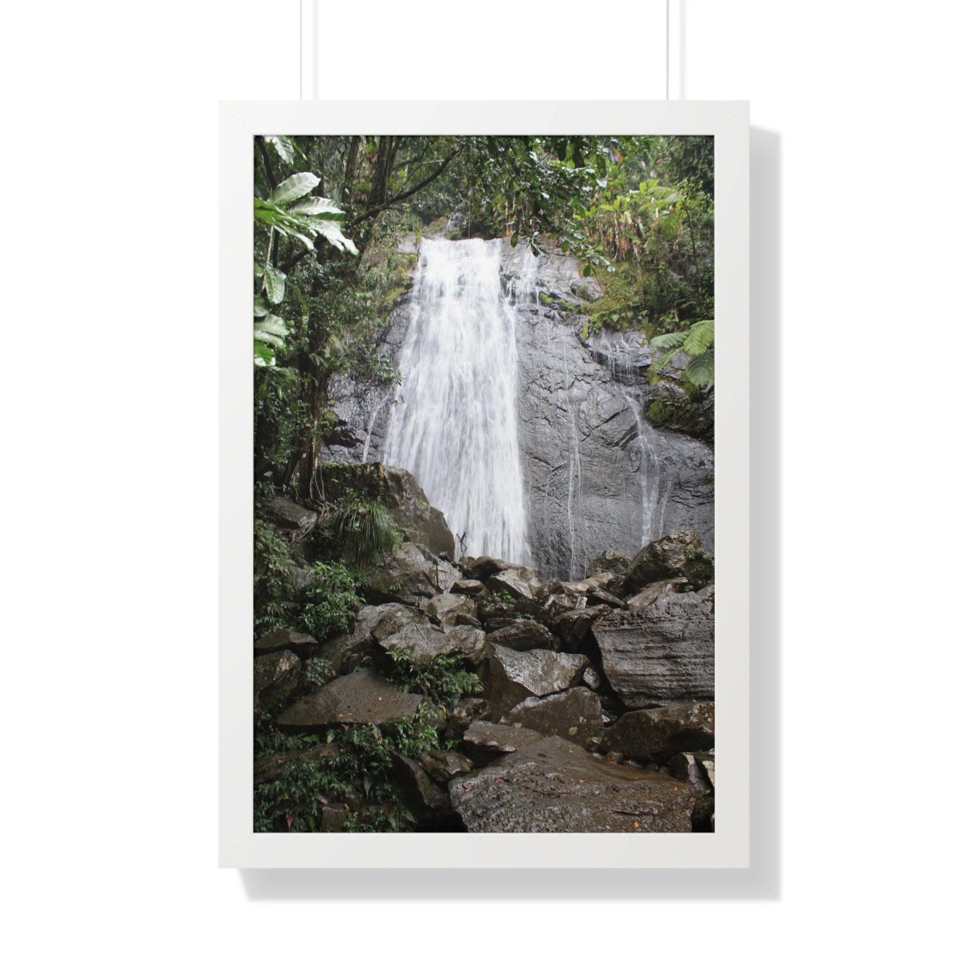 Rainforest Trails & Views - Gallery Canvas Wraps, Framed Vertical Poster - El Yunque National Forest - Puerto Rico - La Coca Falls on PR 191 road - Green Forest Home