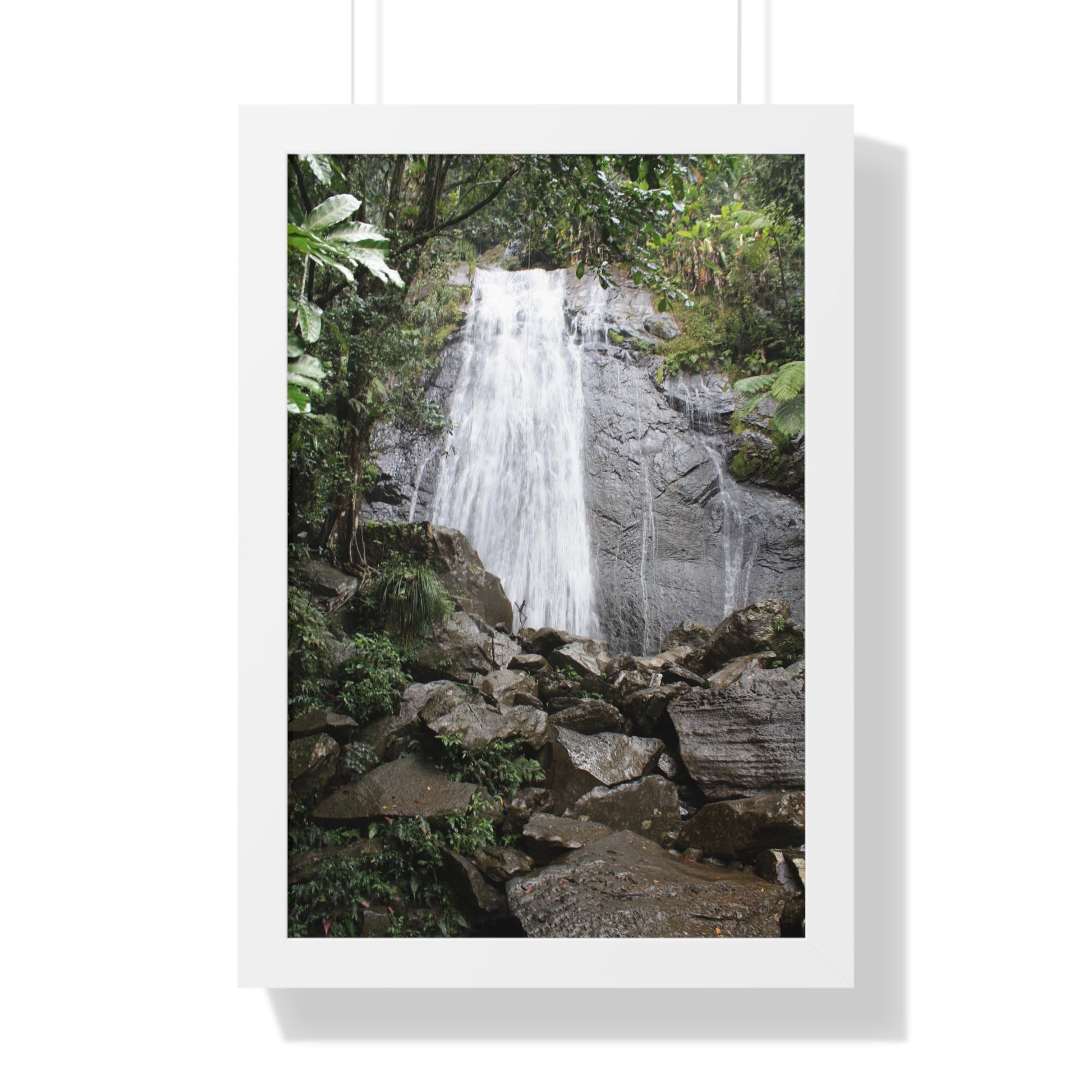 Rainforest Trails & Views - Gallery Canvas Wraps, Framed Vertical Poster - El Yunque National Forest - Puerto Rico - La Coca Falls on PR 191 road - Green Forest Home