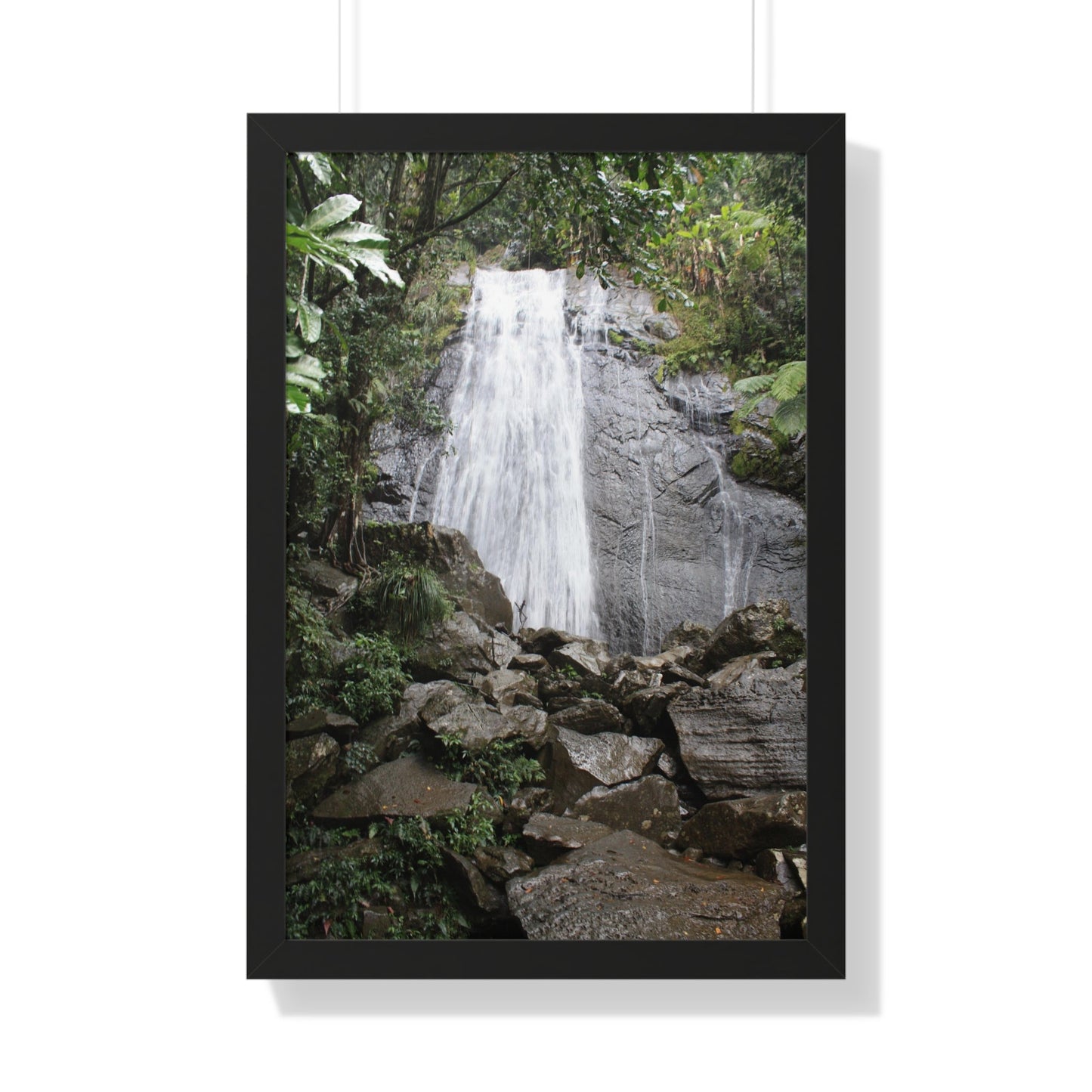 Rainforest Trails & Views - Gallery Canvas Wraps, Framed Vertical Poster - El Yunque National Forest - Puerto Rico - La Coca Falls on PR 191 road - Green Forest Home