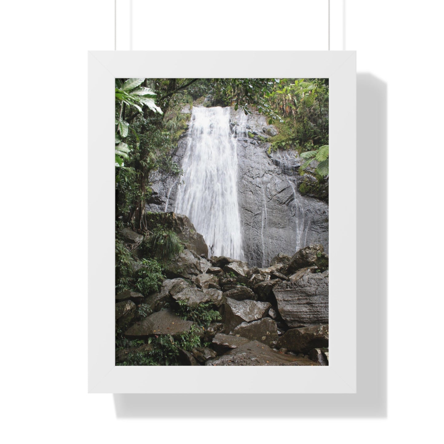 Rainforest Trails & Views - Gallery Canvas Wraps, Framed Vertical Poster - El Yunque National Forest - Puerto Rico - La Coca Falls on PR 191 road - Green Forest Home