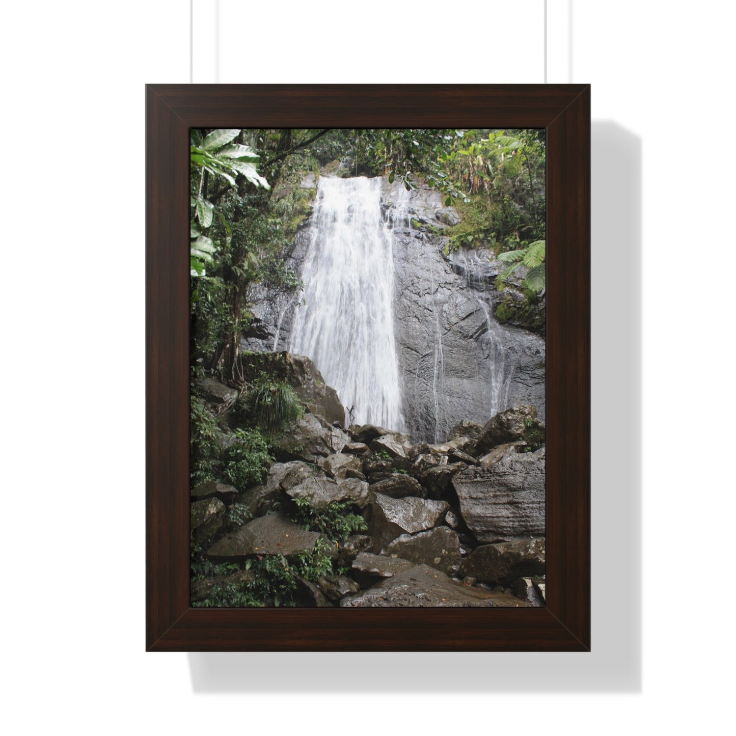 Rainforest Trails & Views - Gallery Canvas Wraps, Framed Vertical Poster - El Yunque National Forest - Puerto Rico - La Coca Falls on PR 191 road - Green Forest Home