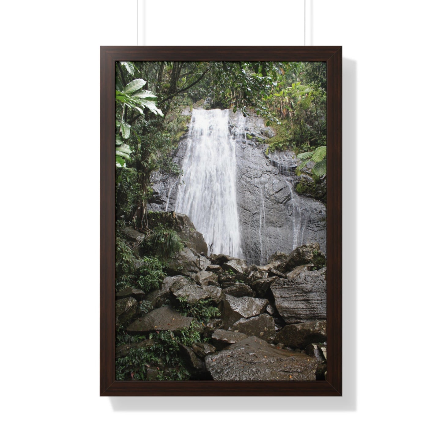 Rainforest Trails & Views - Gallery Canvas Wraps, Framed Vertical Poster - El Yunque National Forest - Puerto Rico - La Coca Falls on PR 191 road - Green Forest Home