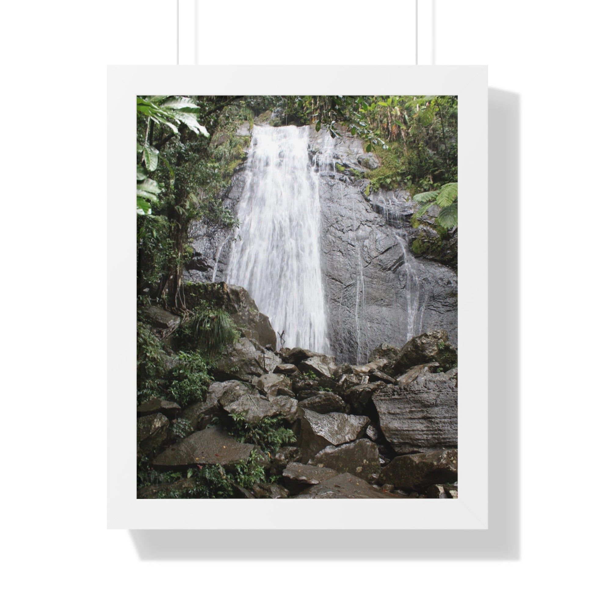 Rainforest Trails & Views - Gallery Canvas Wraps, Framed Vertical Poster - El Yunque National Forest - Puerto Rico - La Coca Falls on PR 191 road - Green Forest Home