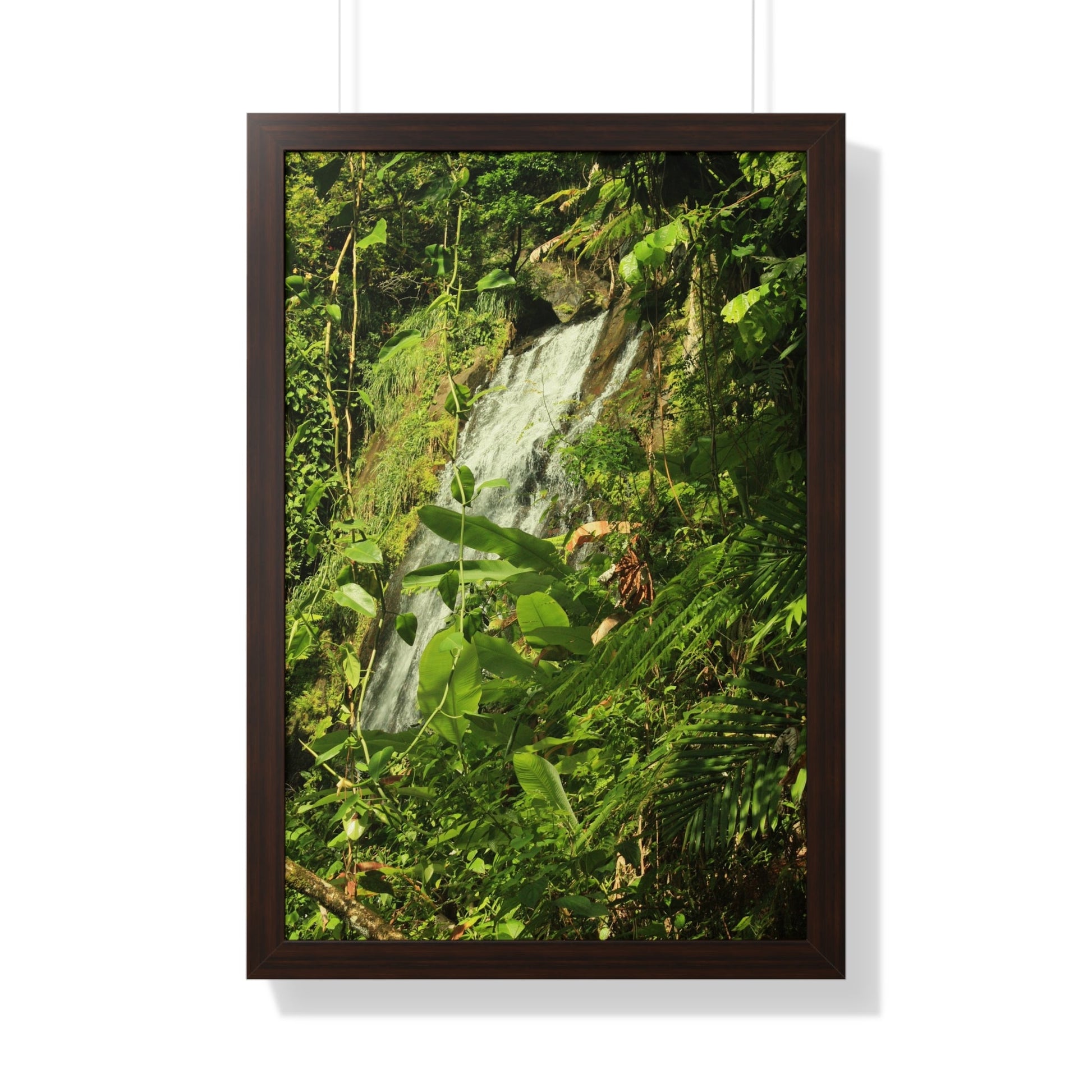 Rainforest Trails & Views - Gallery Canvas Wraps, Framed Vertical Poster - El Yunque National Forest - Puerto Rico - La Coca waterfall sideways - PR 191 - Green Forest Home